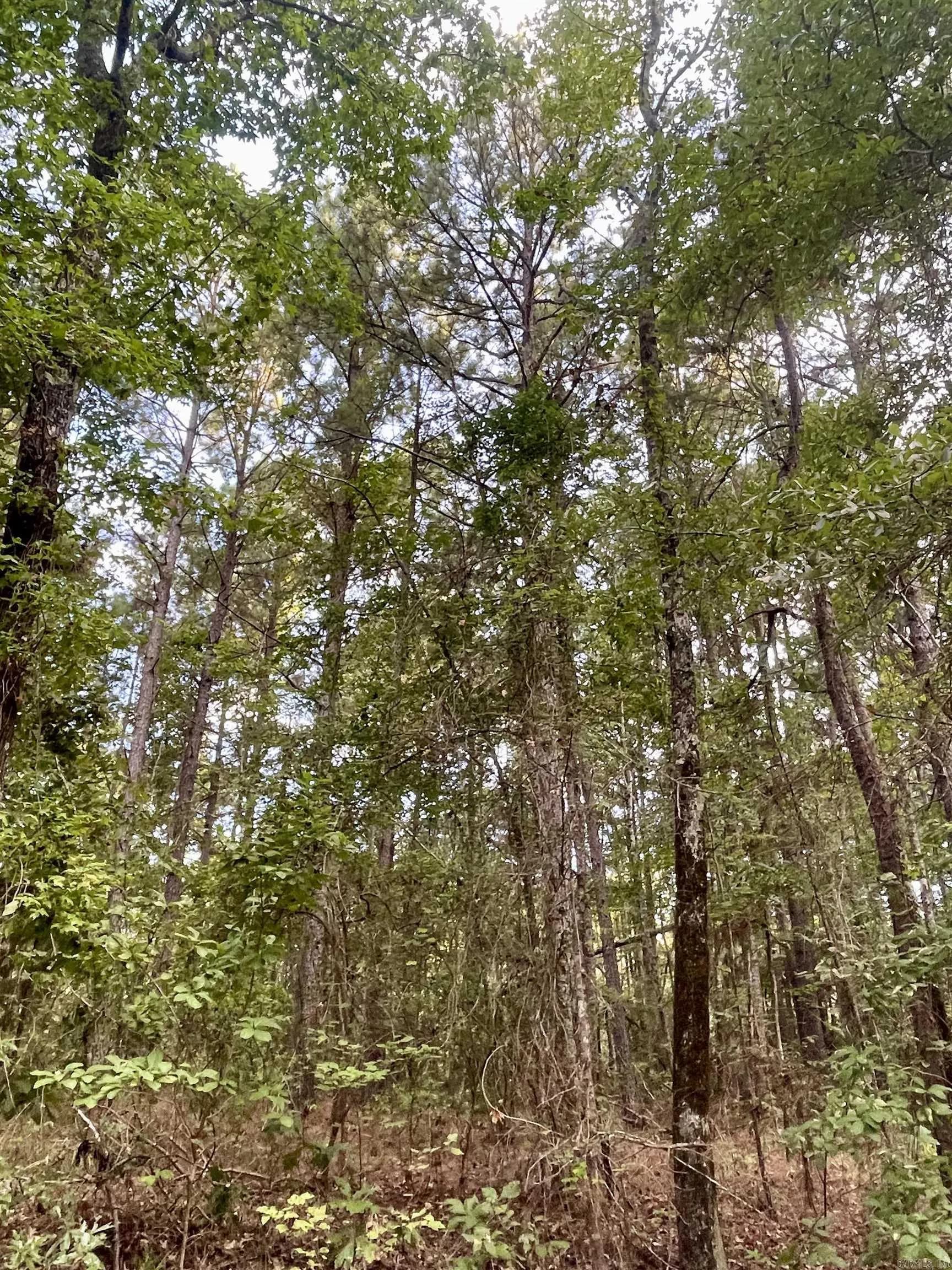 Property at TBD  Miller county 32 - Image 7