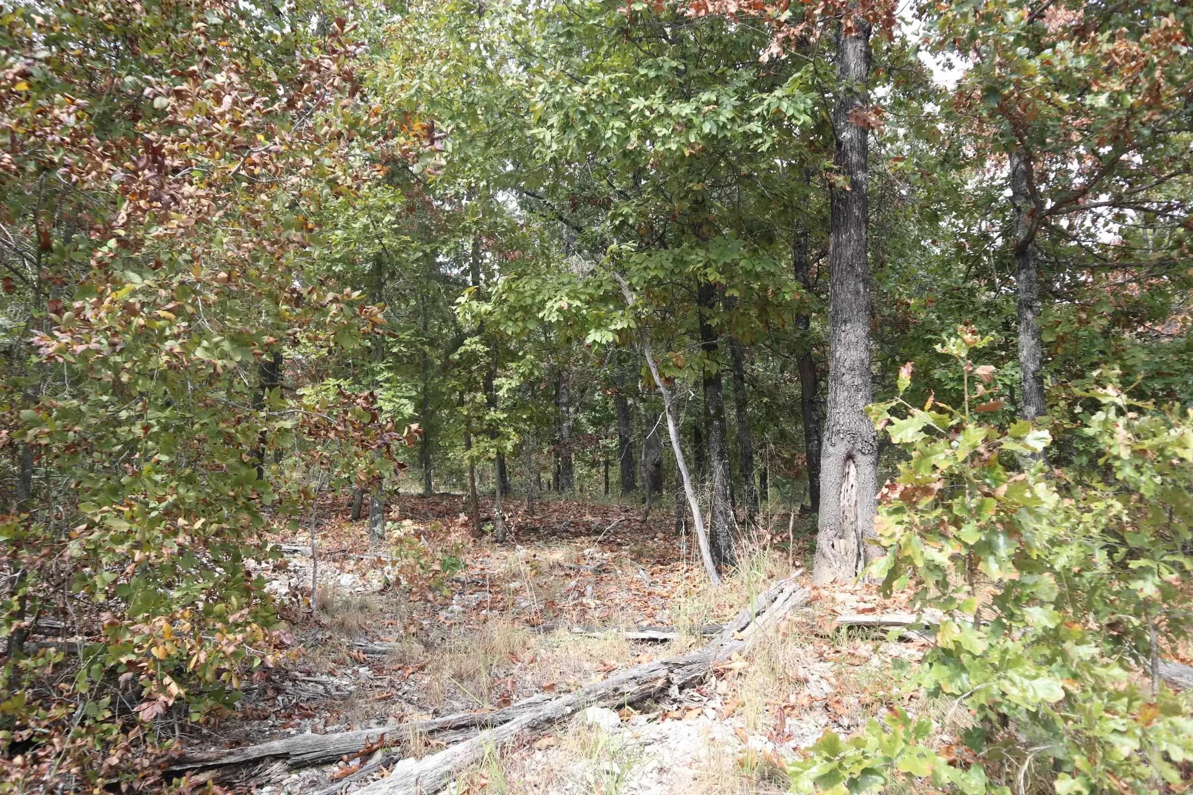 Property at 253  Coyote rd - Image 29