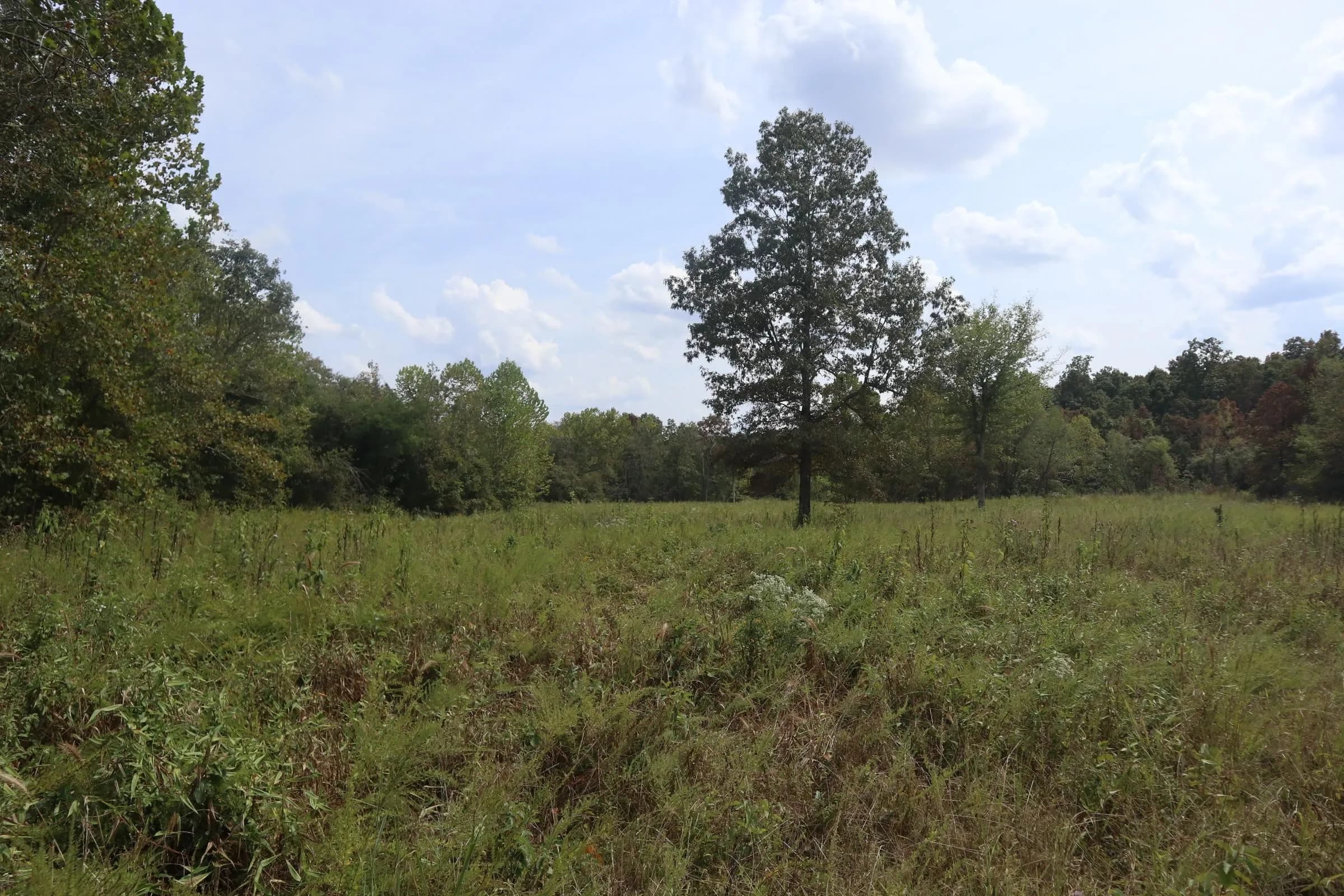 Property at 253  Coyote rd - Image 10
