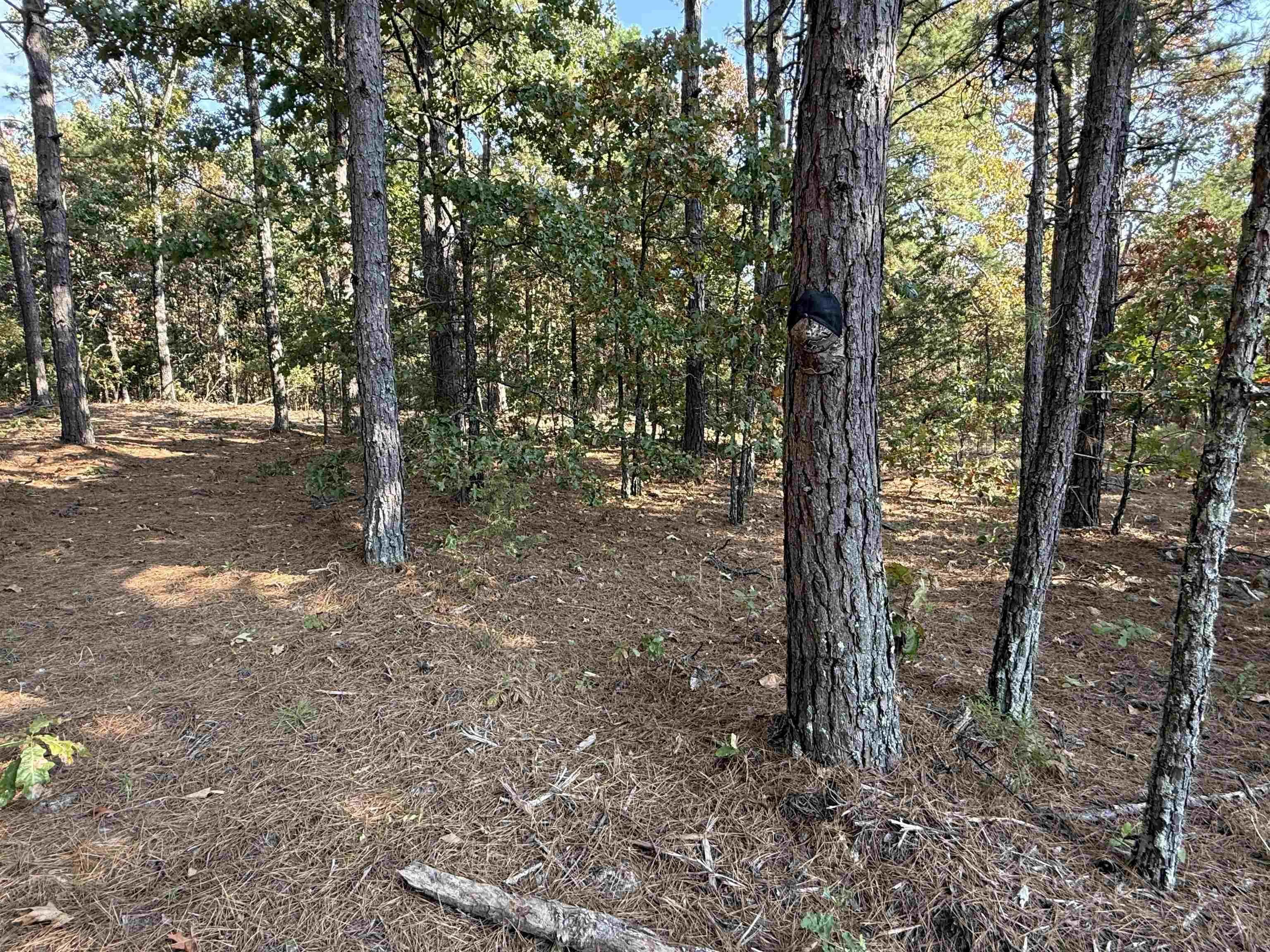 Property at 80A  Spring hill road - Image 23
