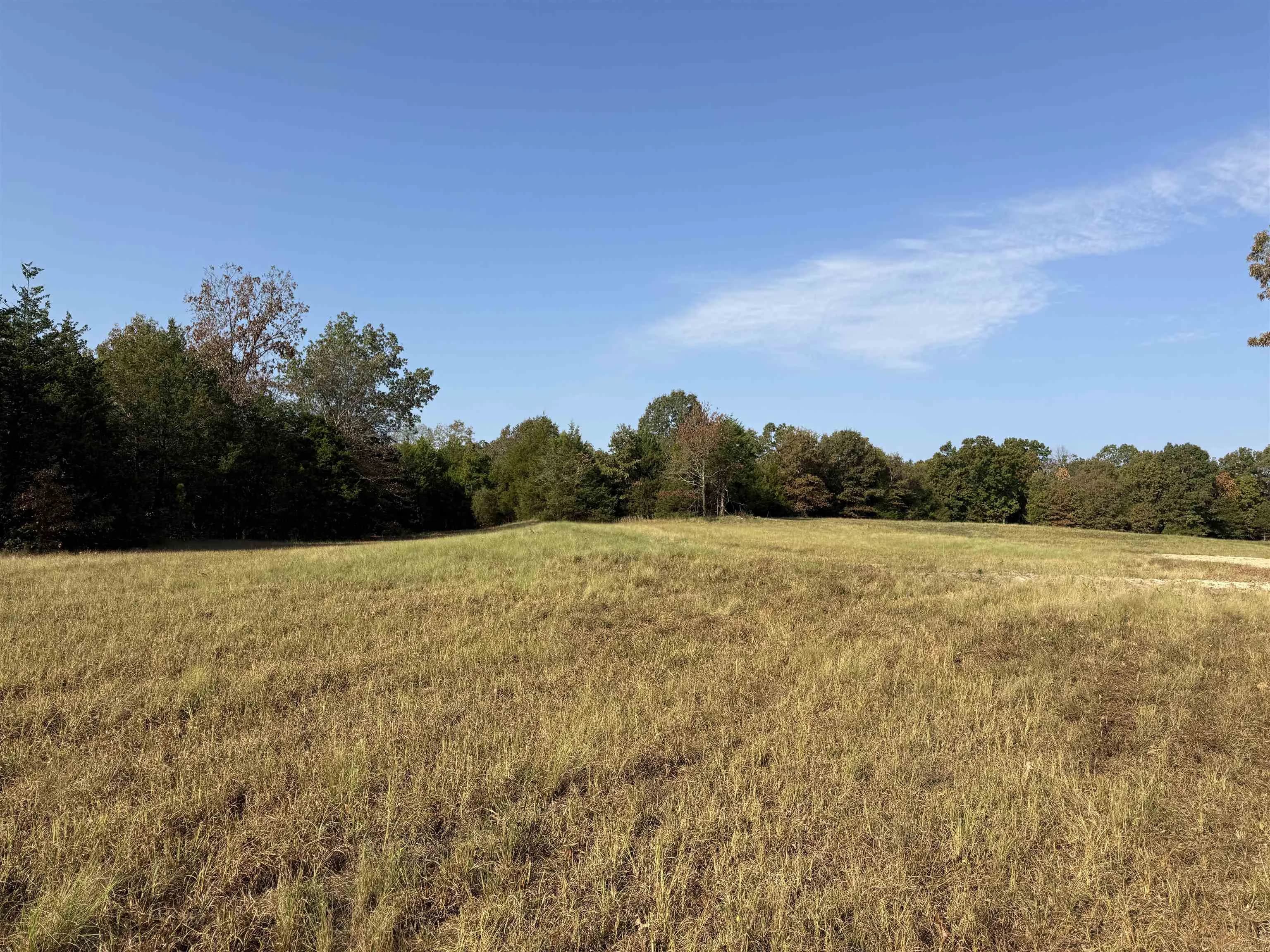 Property at 80A  Spring hill road - Image 28