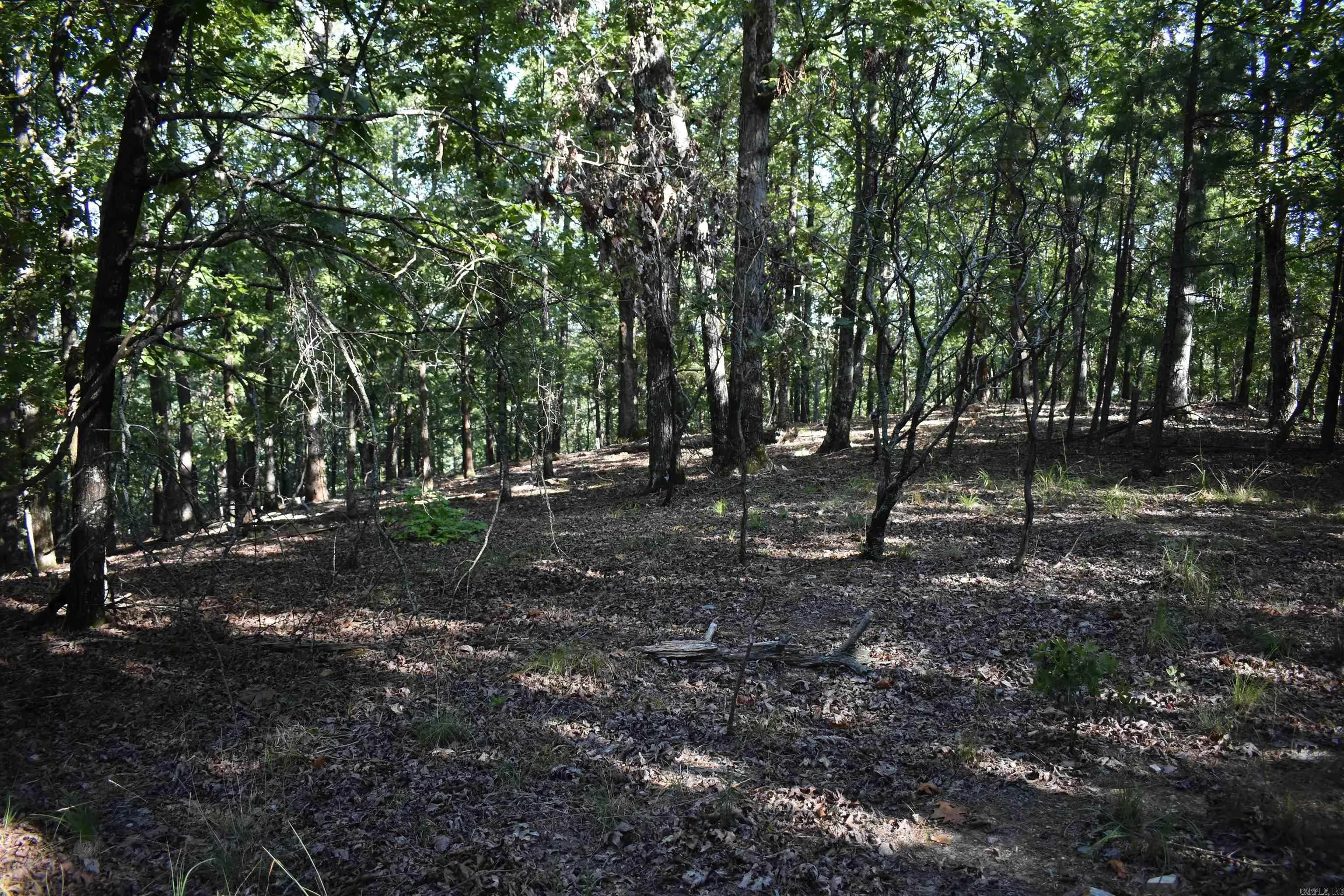 Property at 374  Leisure terrace - Image 45