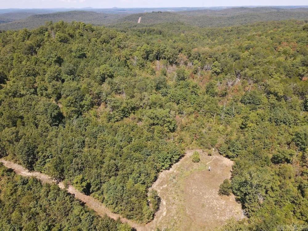 Property at Haw mountain cemetery road - Image 14