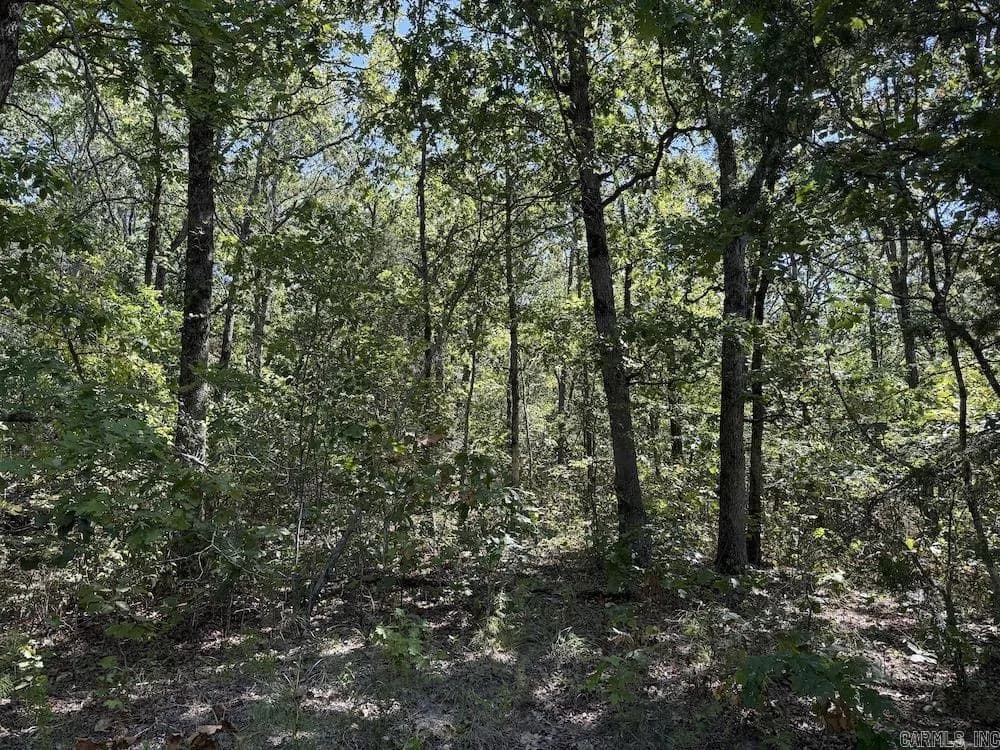 Property at Haw mountain cemetery road - Image 36