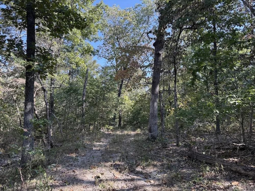 Property at 643 W Spring hill road - Image 44