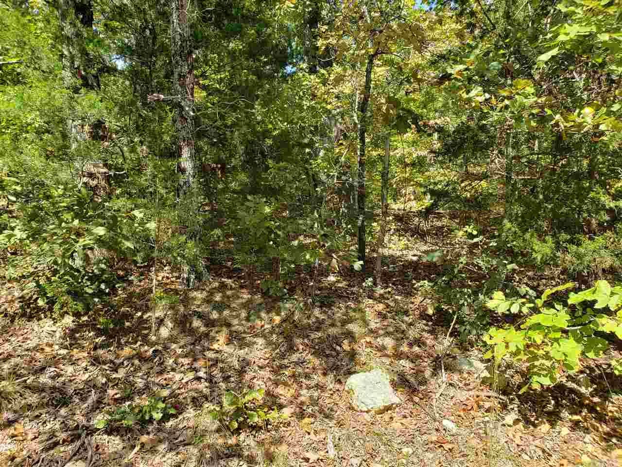 Property at L-55 & 56 B-7  Lochloosa - Image 7