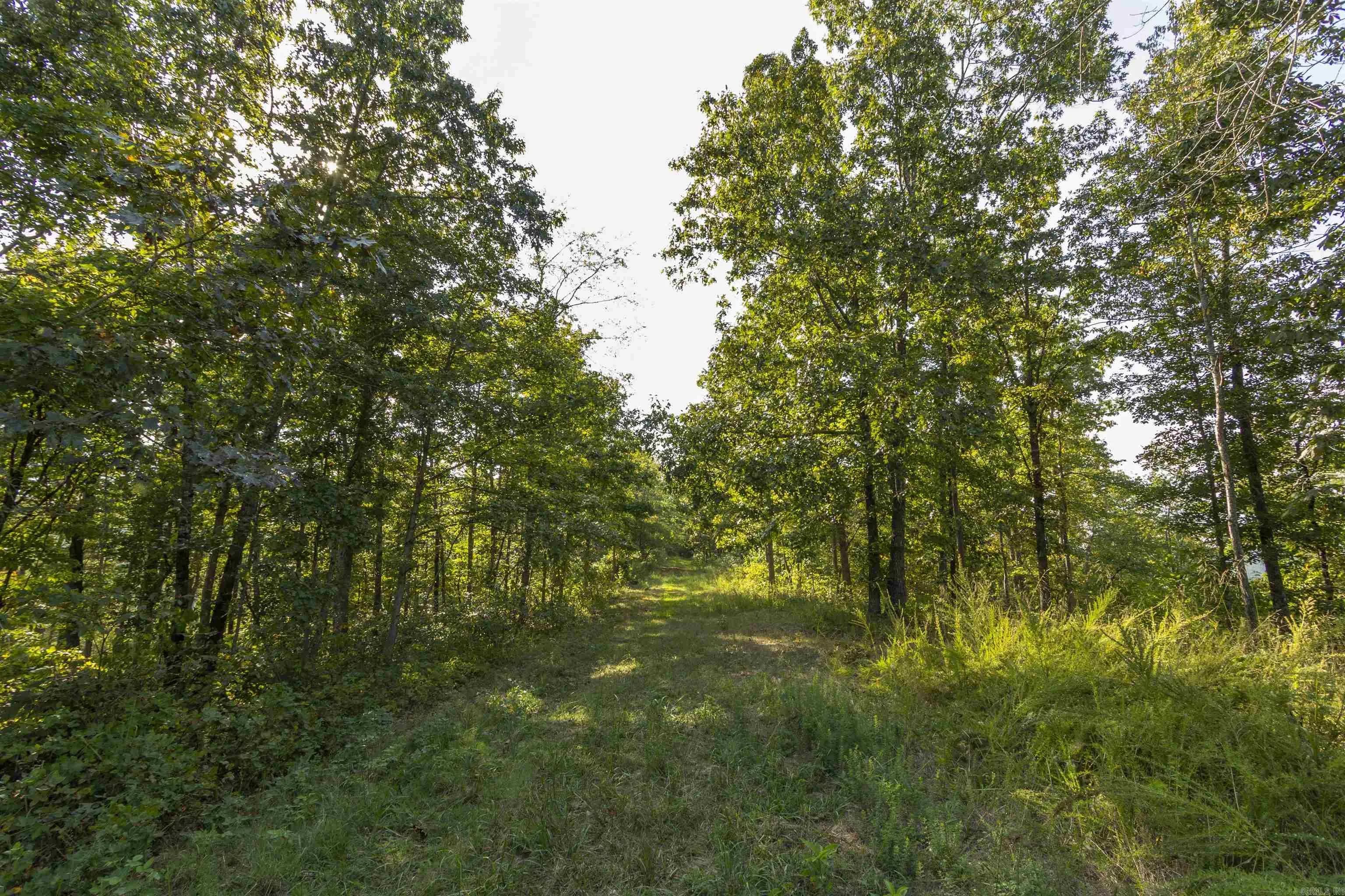 Property at 001-08532-000  Nc 6012 - Image 23