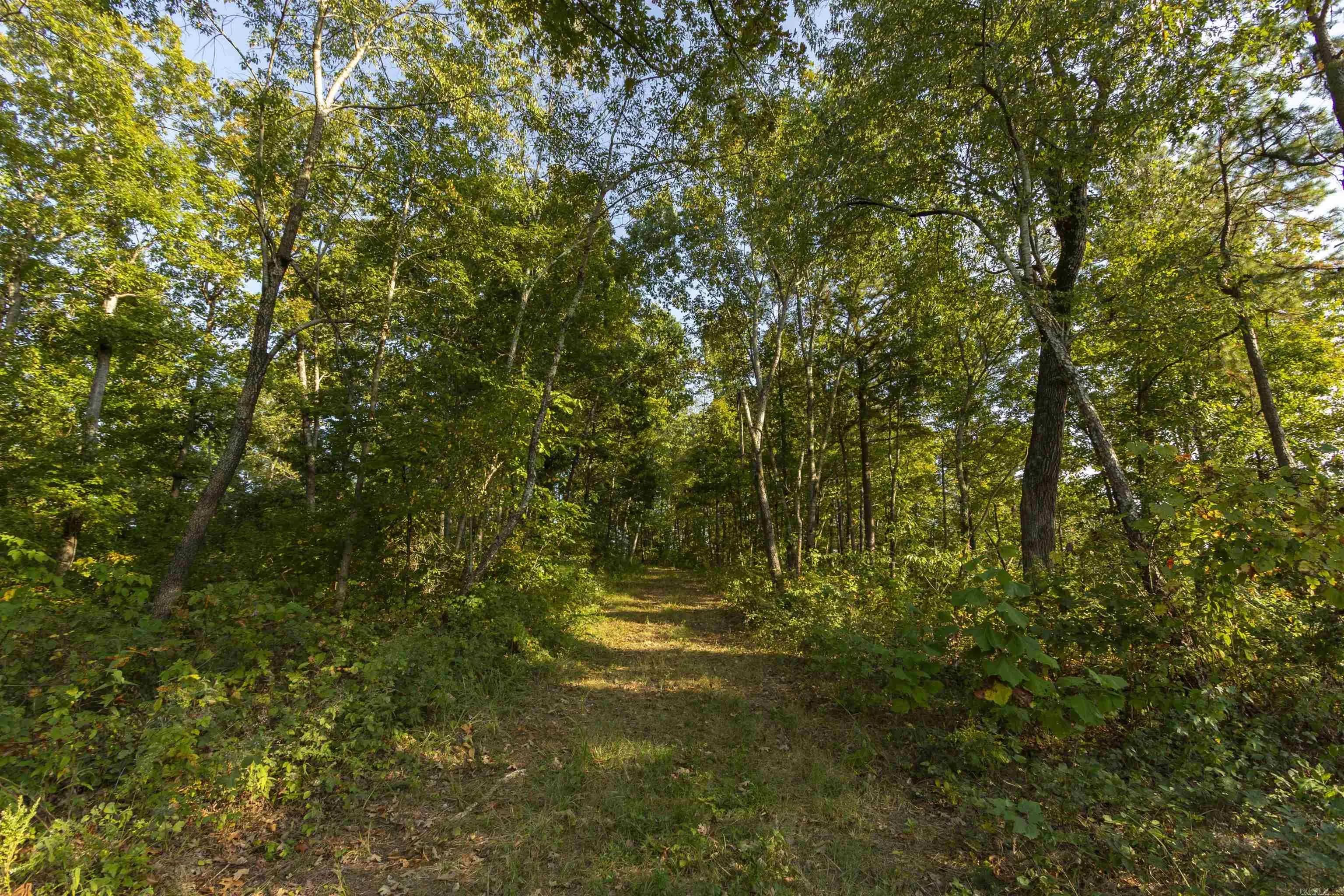 Property at 001-08532-000  Nc 6012 - Image 26