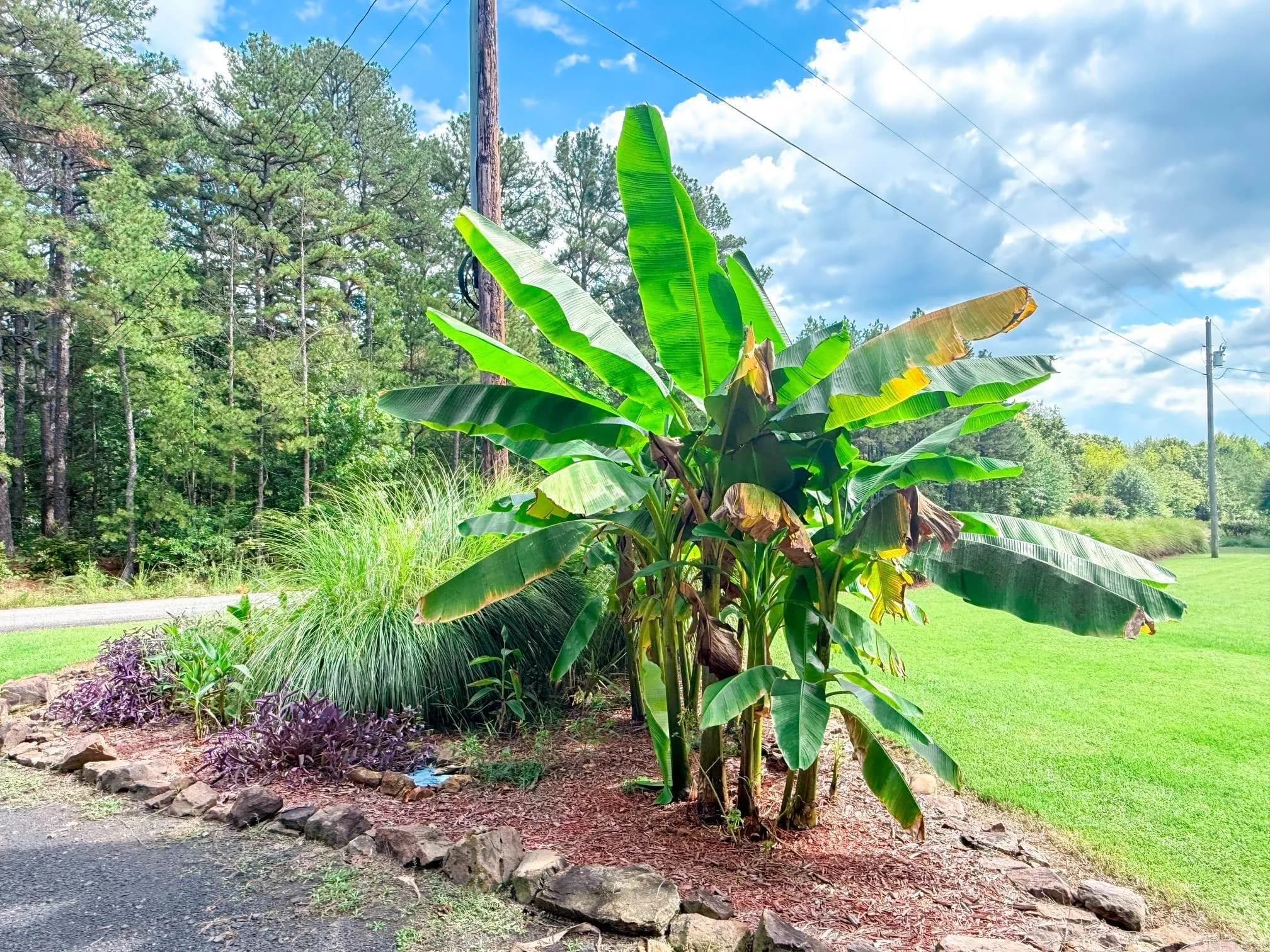 Property at 172  Heather lane - Image 30