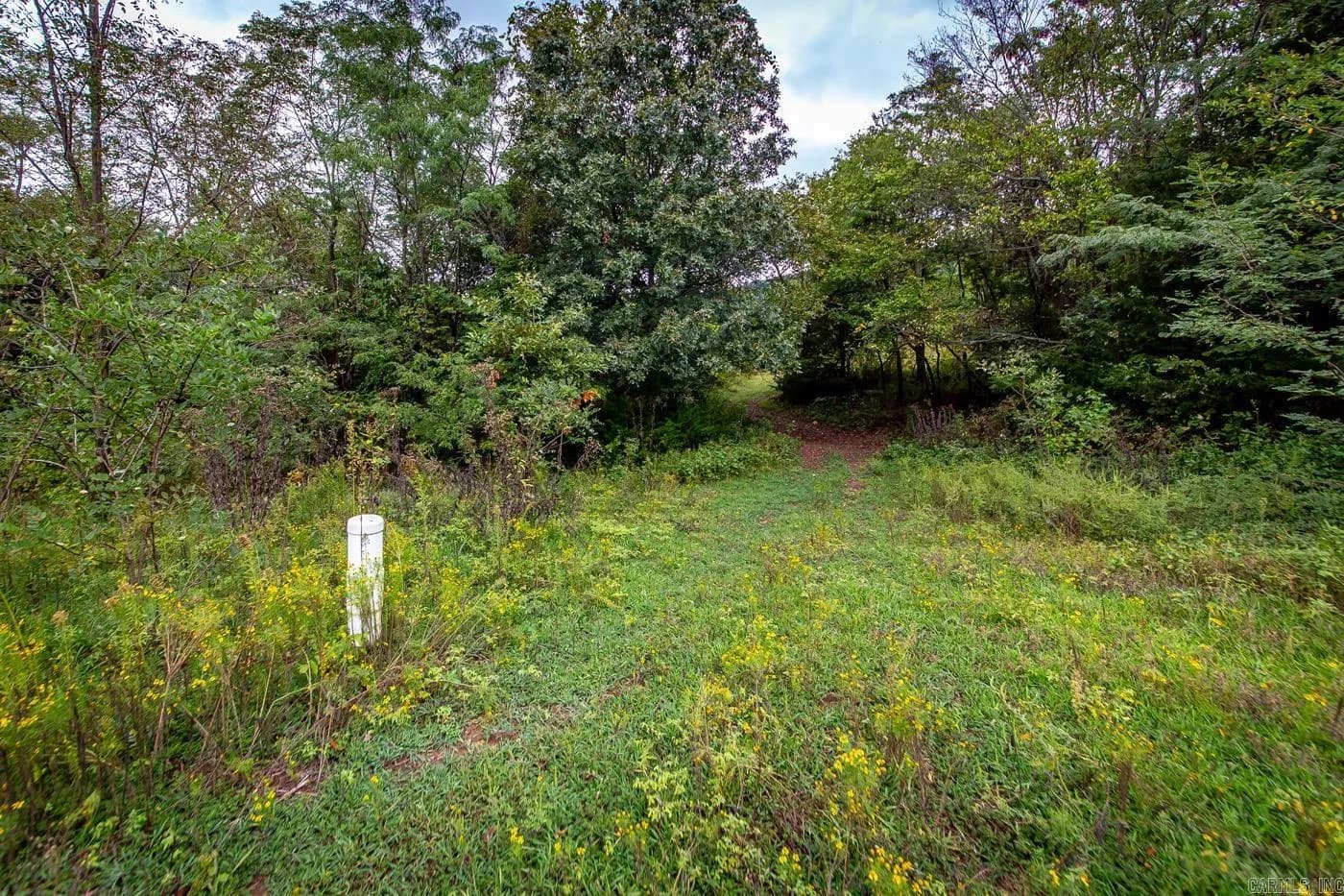 Property at 2230  Browntown - Image 12