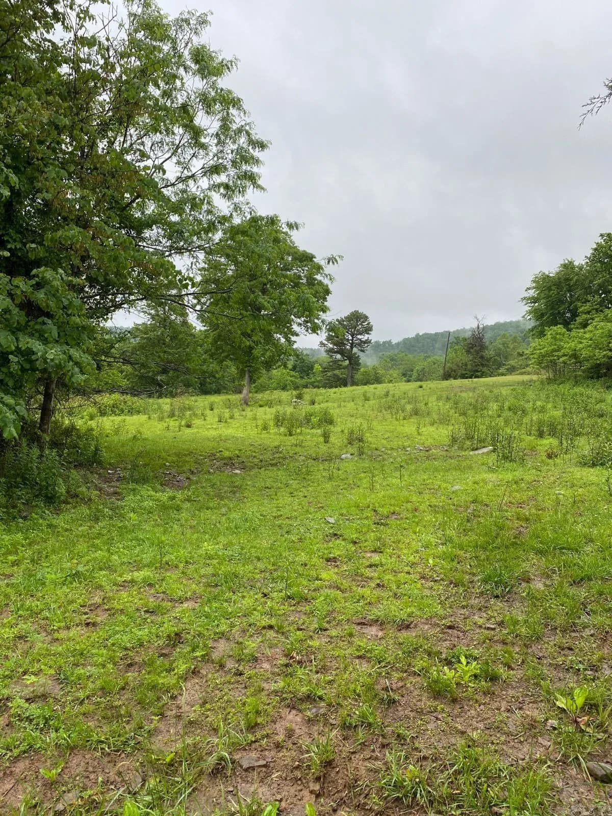 Property at 2230  Browntown - Image 23