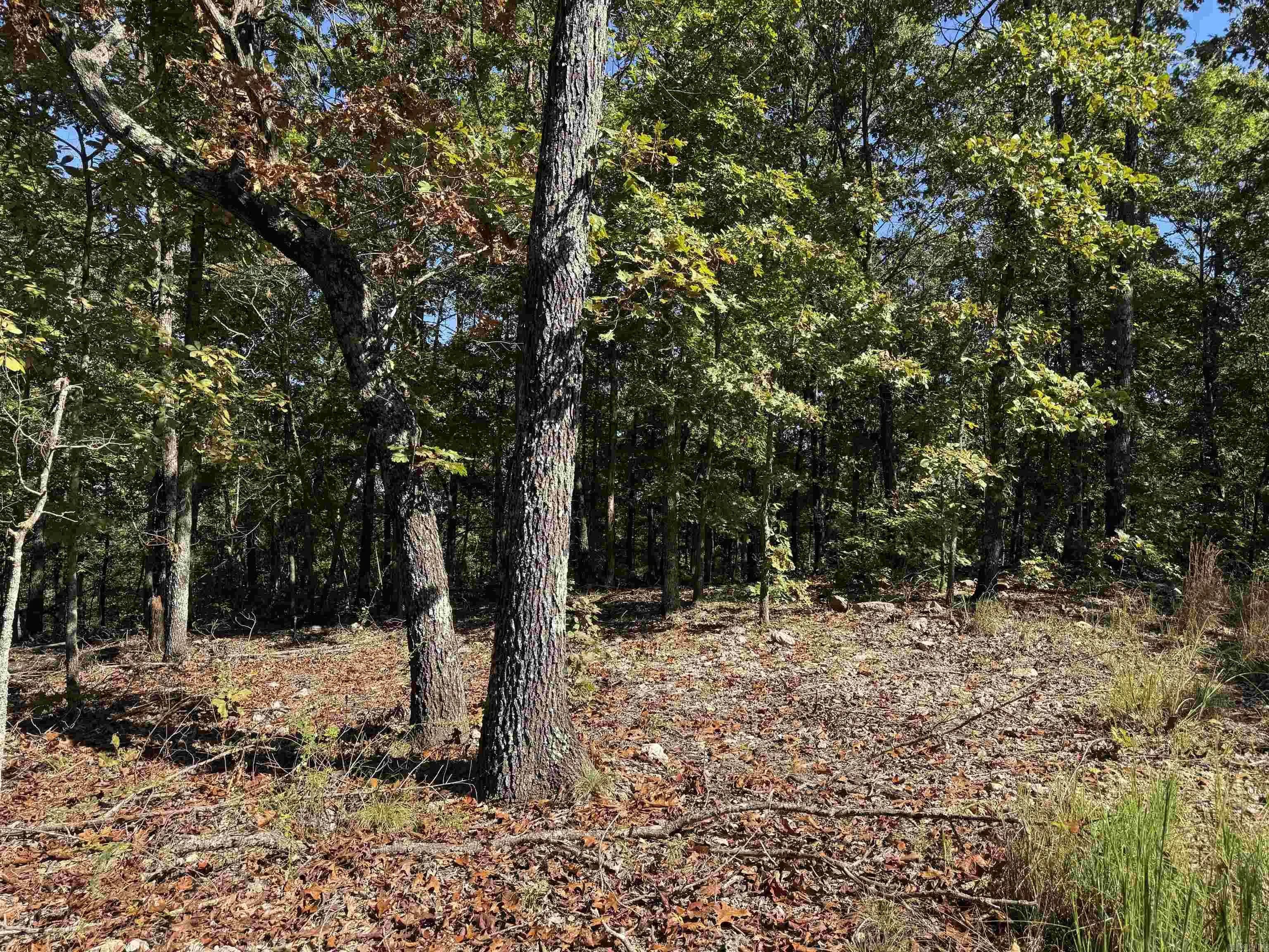Property at 919  Country spring - Image 11