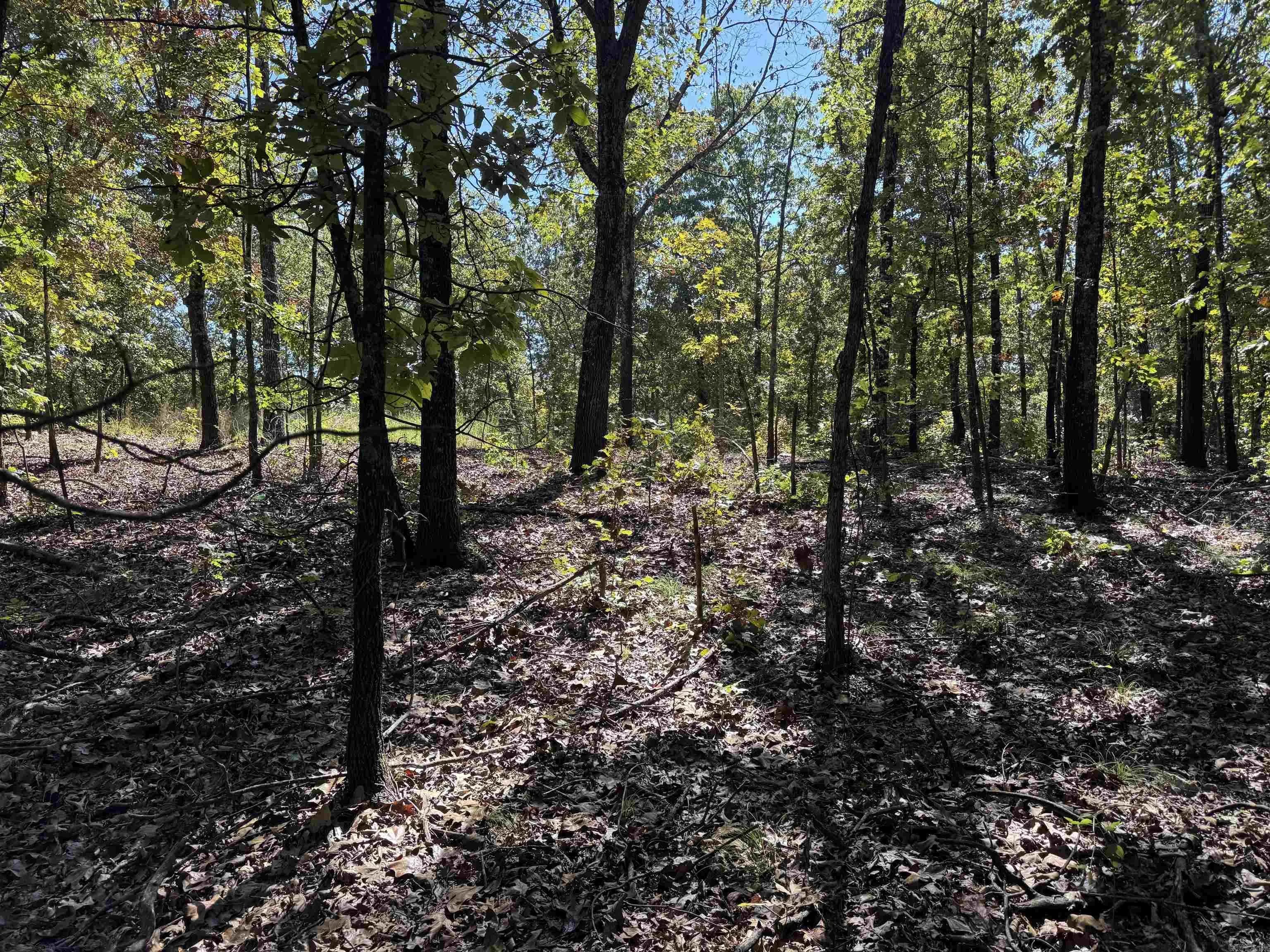 Property at 919  Country spring - Image 19