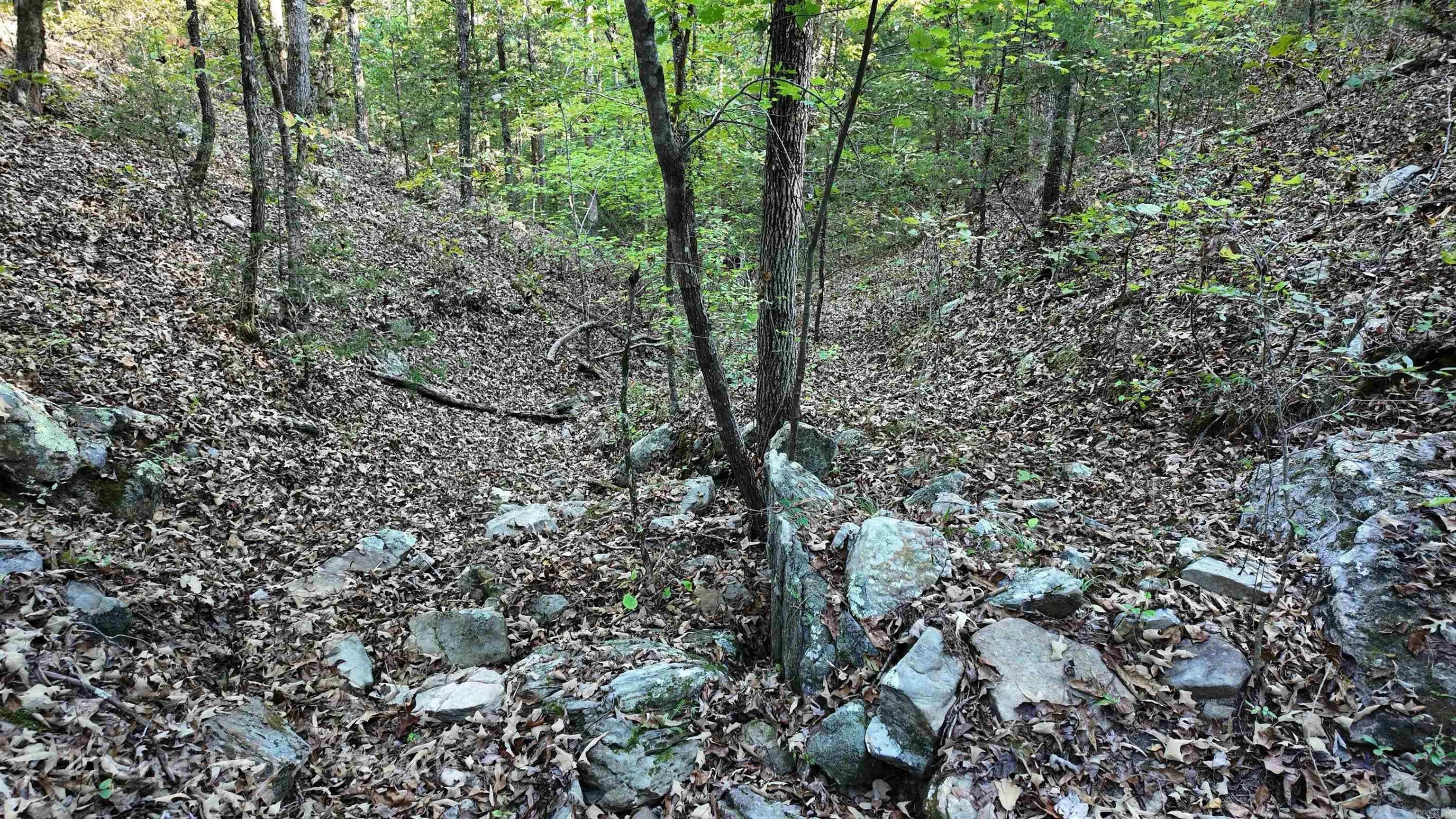 Property at 1272  Dwelle - Image 39