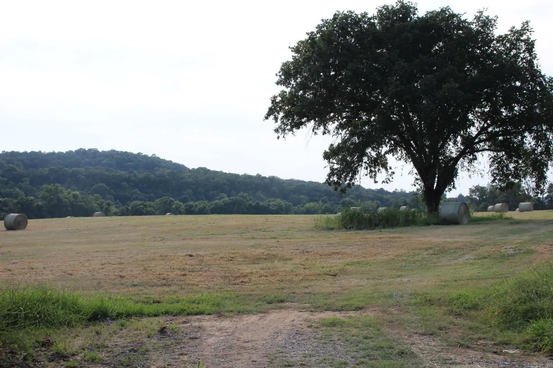 Property at 001-07419-000  Mc 4003 - Image 36