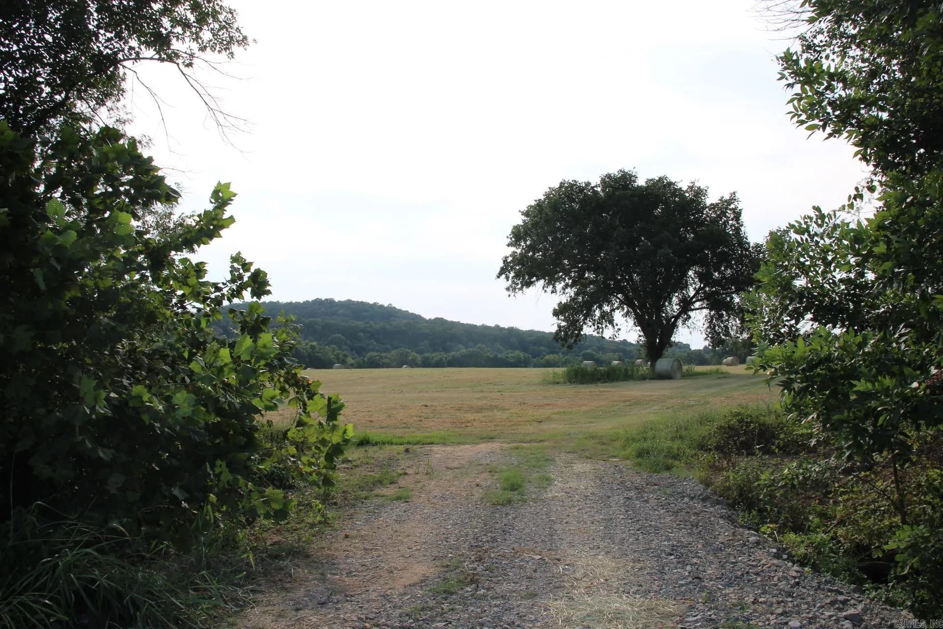 Property at 001-07419-000  Mc 4003 - Image 37
