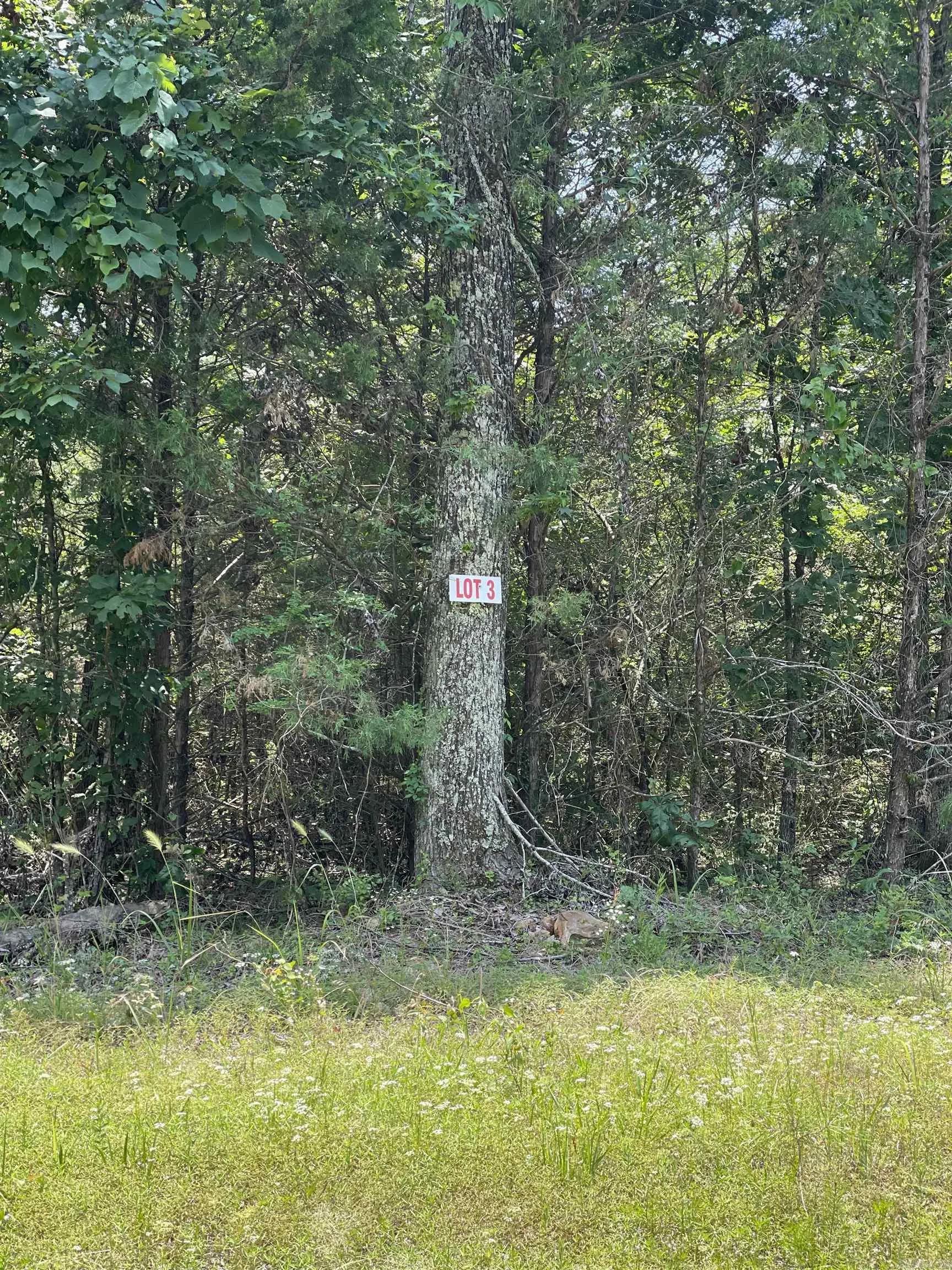 Property at Lot 3  Pleasant ridge - Image 1