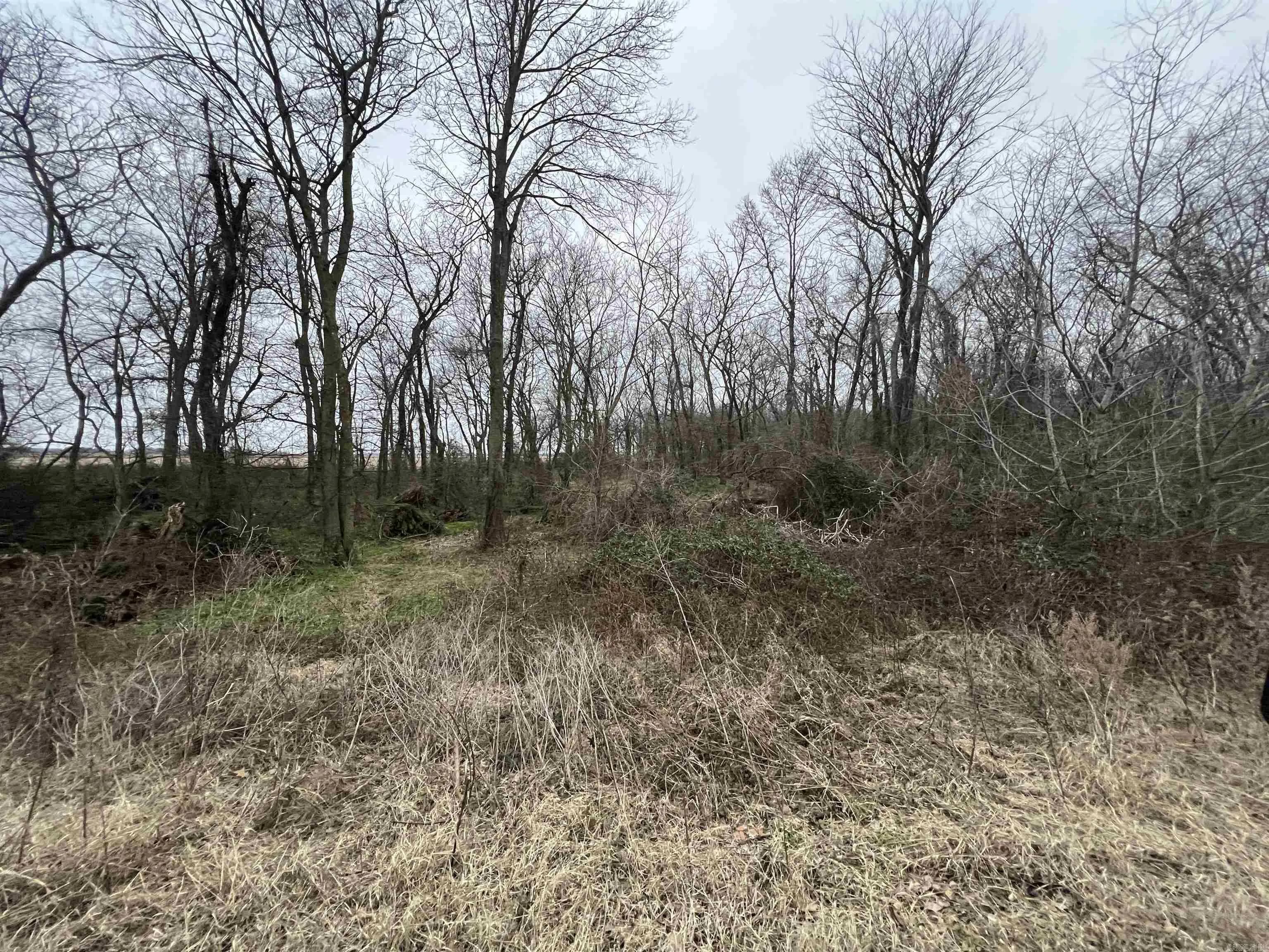 Property at 00  Undisclosed - Image 16