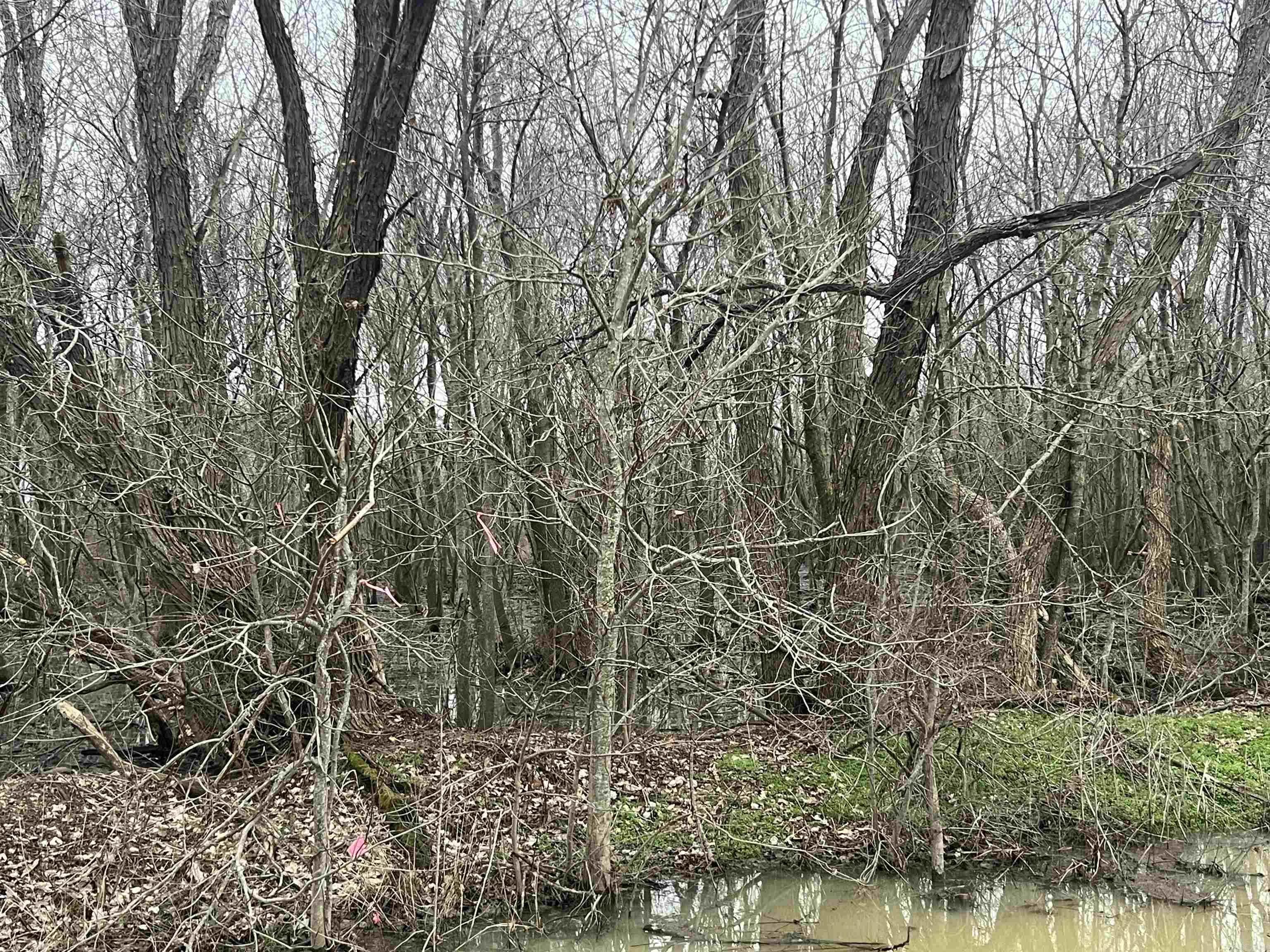 Property at 00  Undisclosed - Image 14