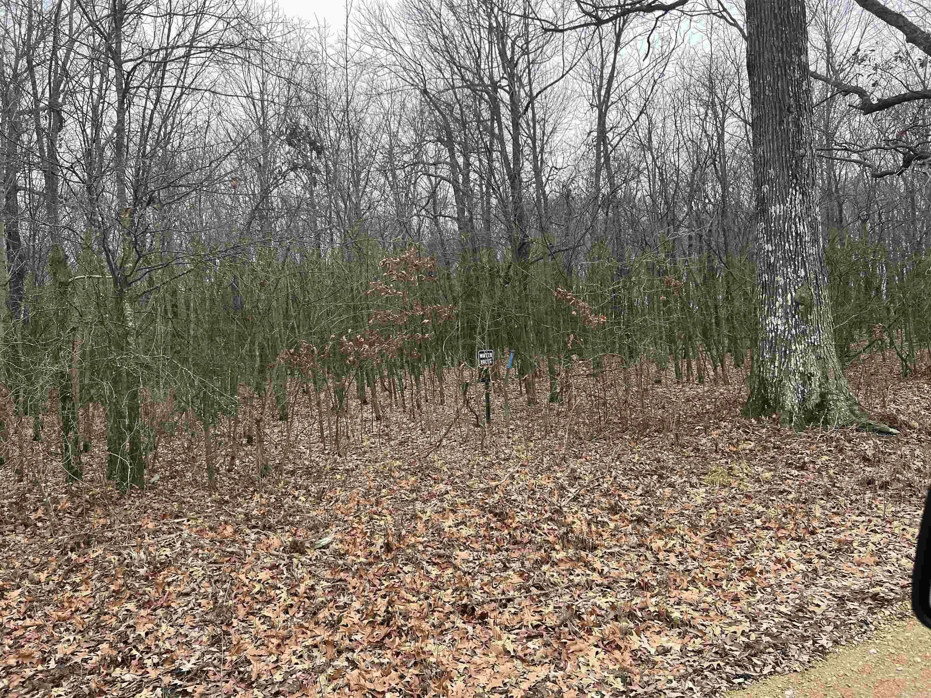 Property at 00  Undisclosed - Image 17