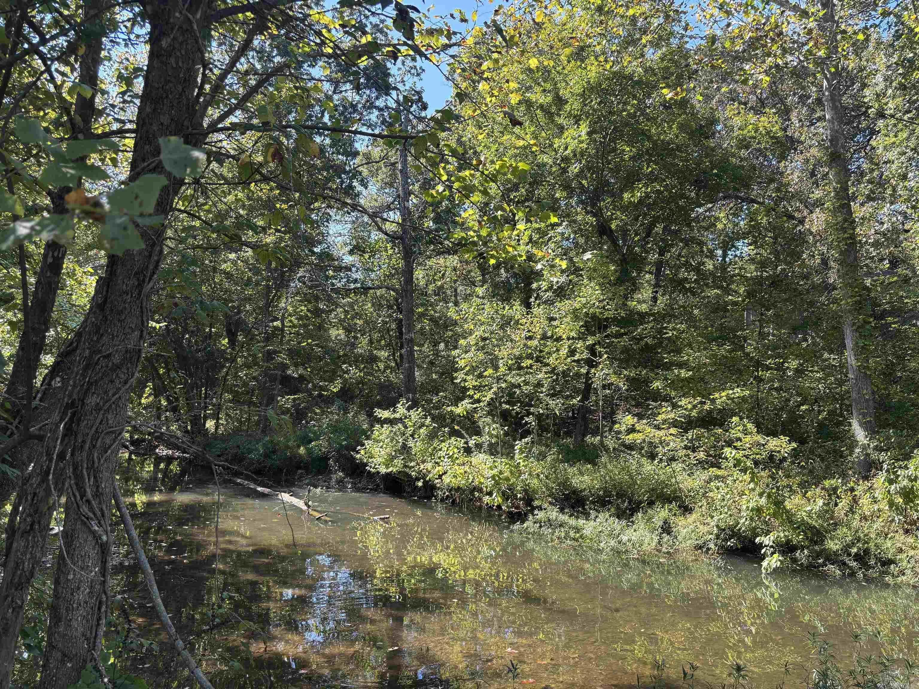 Property at TBD W Lakeshore - Image 3