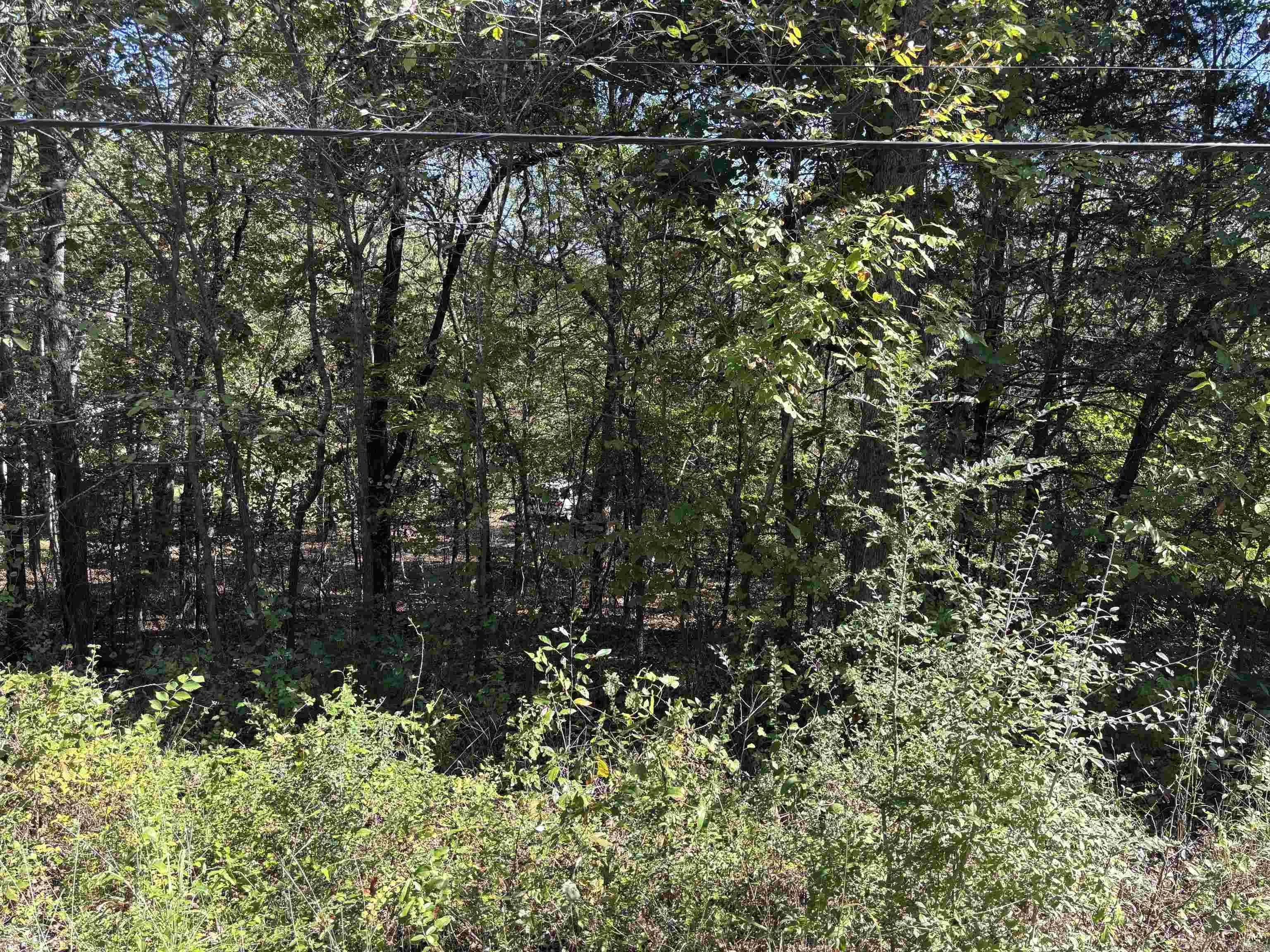 Property at TBD W Lakeshore - Image 5