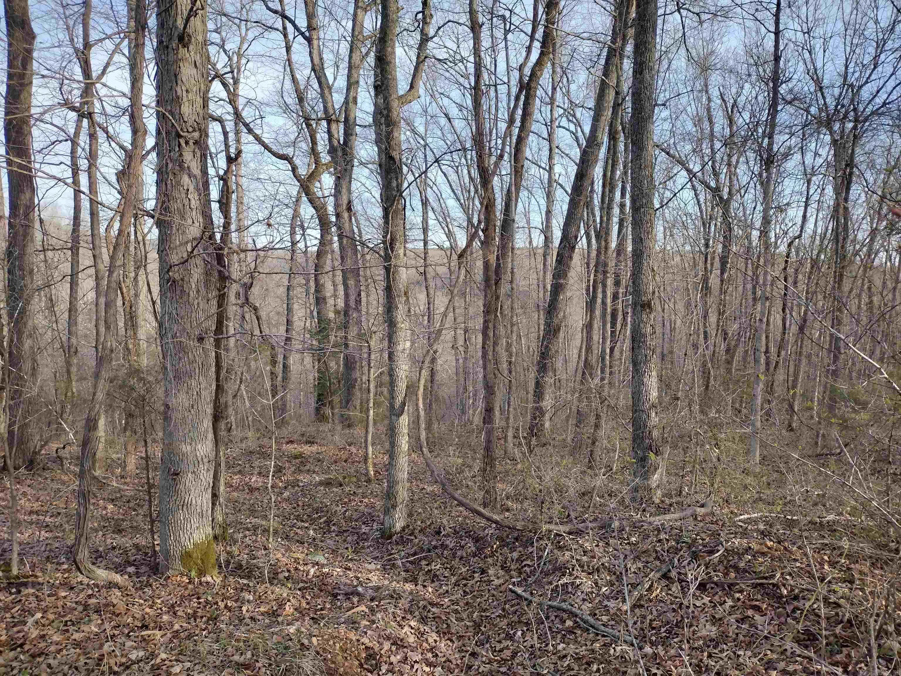 Property at 30121  Hwy 263 n - Image 46