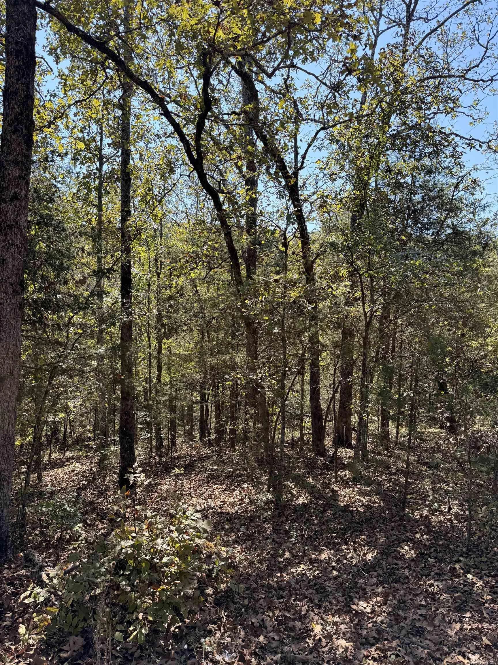 Property at 119  Edna - Image 2
