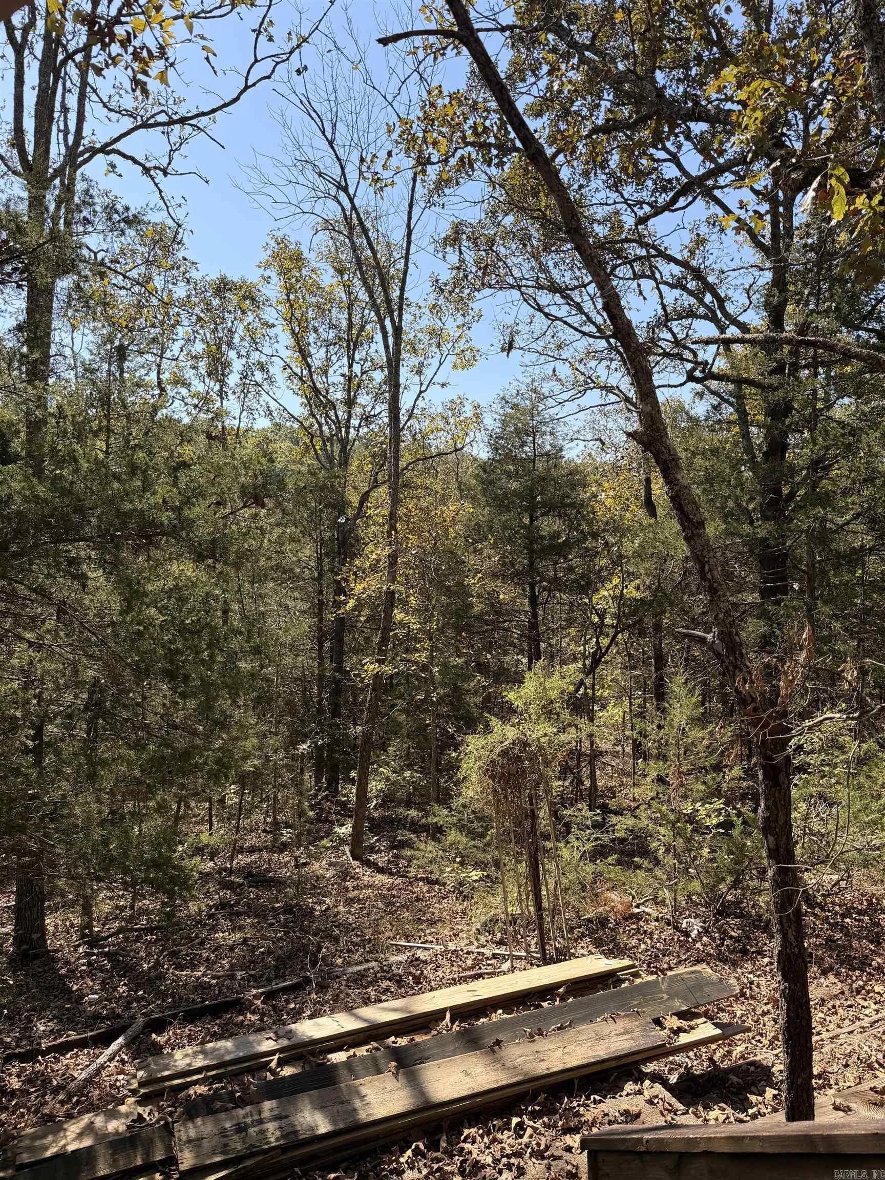 Property at 119  Edna - Image 17