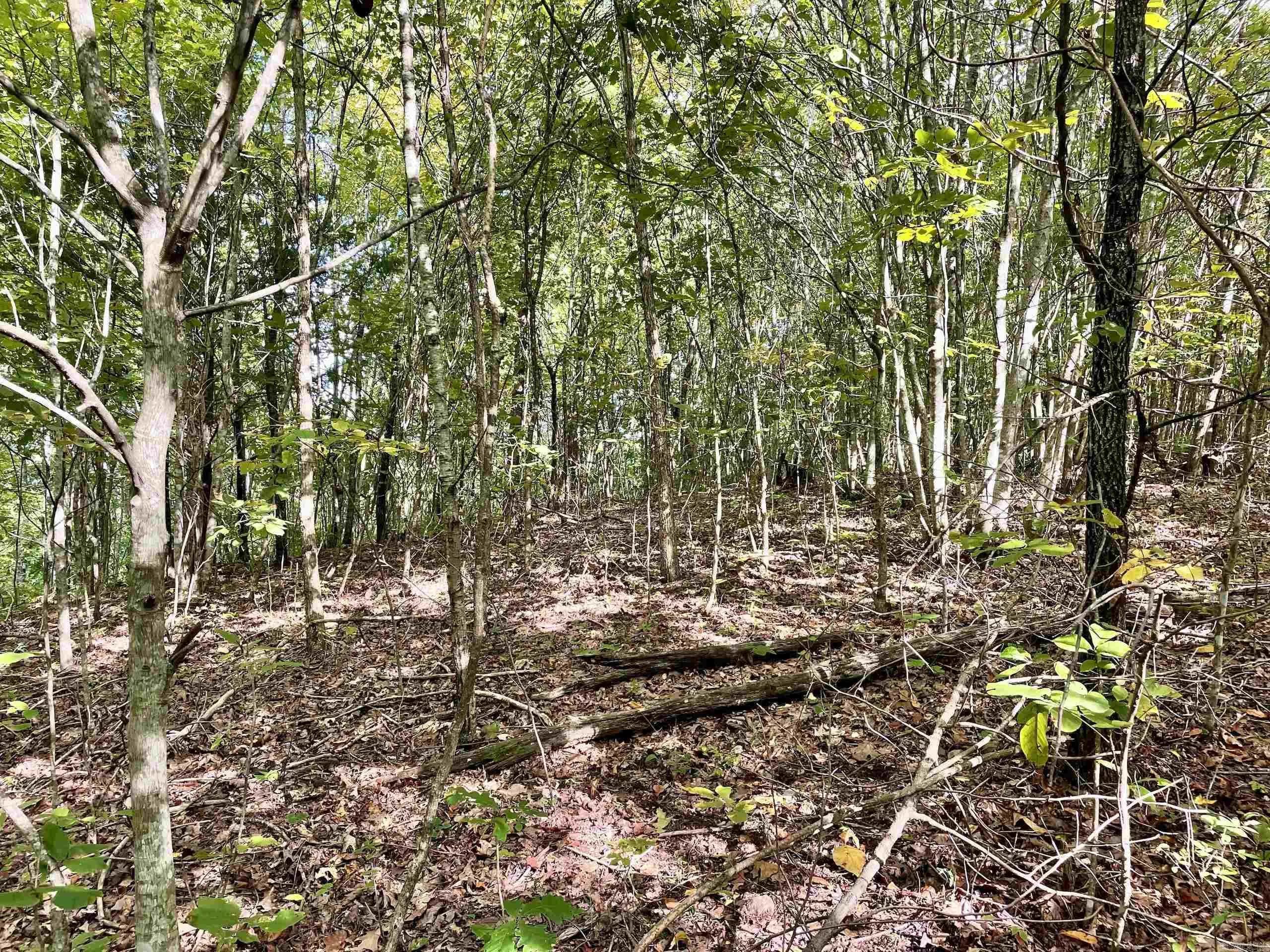 Property at 000  Watson road - Image 43