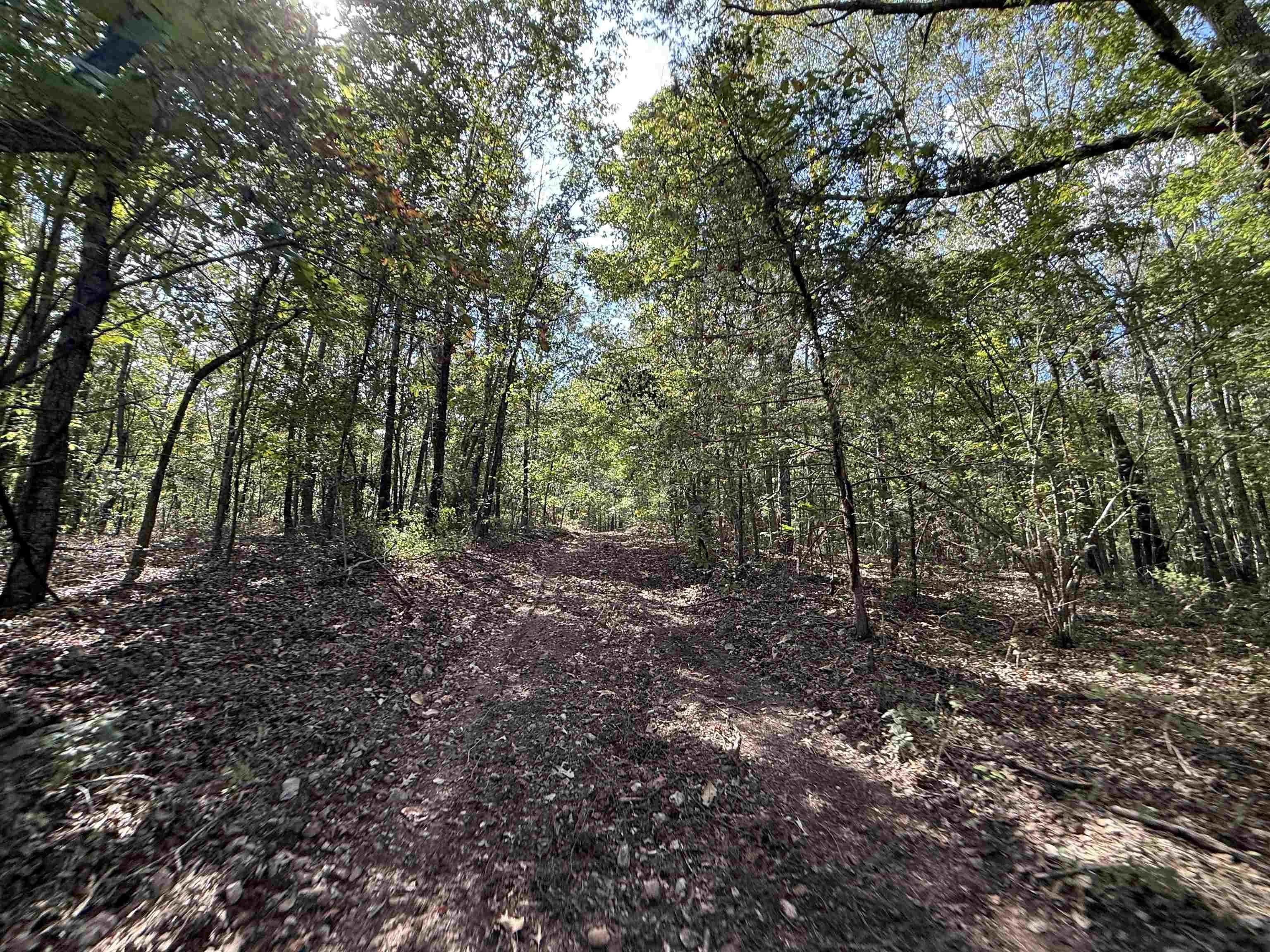 Property at 84A  County road 154 - Image 20