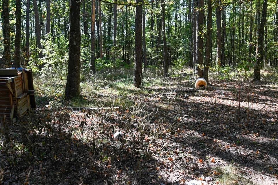 Property at 21  Moon dance - Image 29