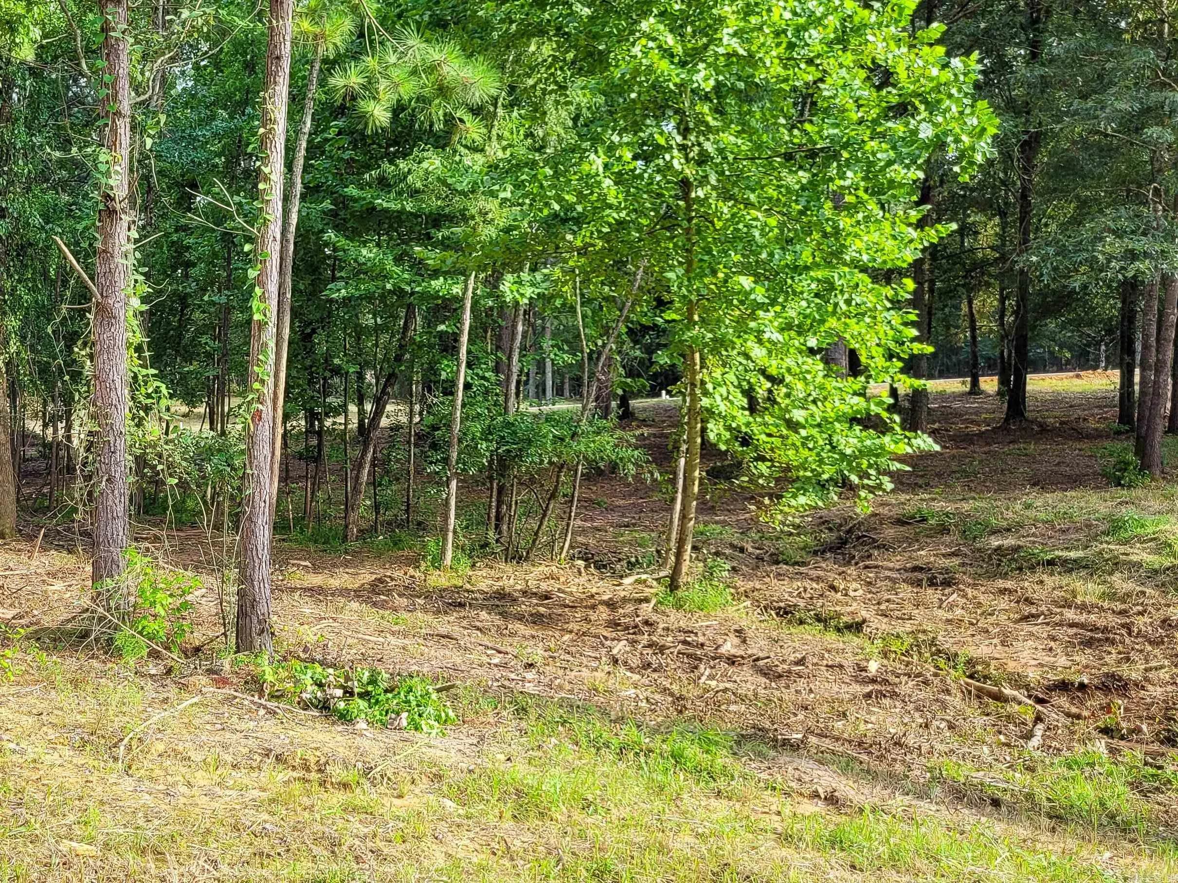 Property at 108  Jt - Image 17