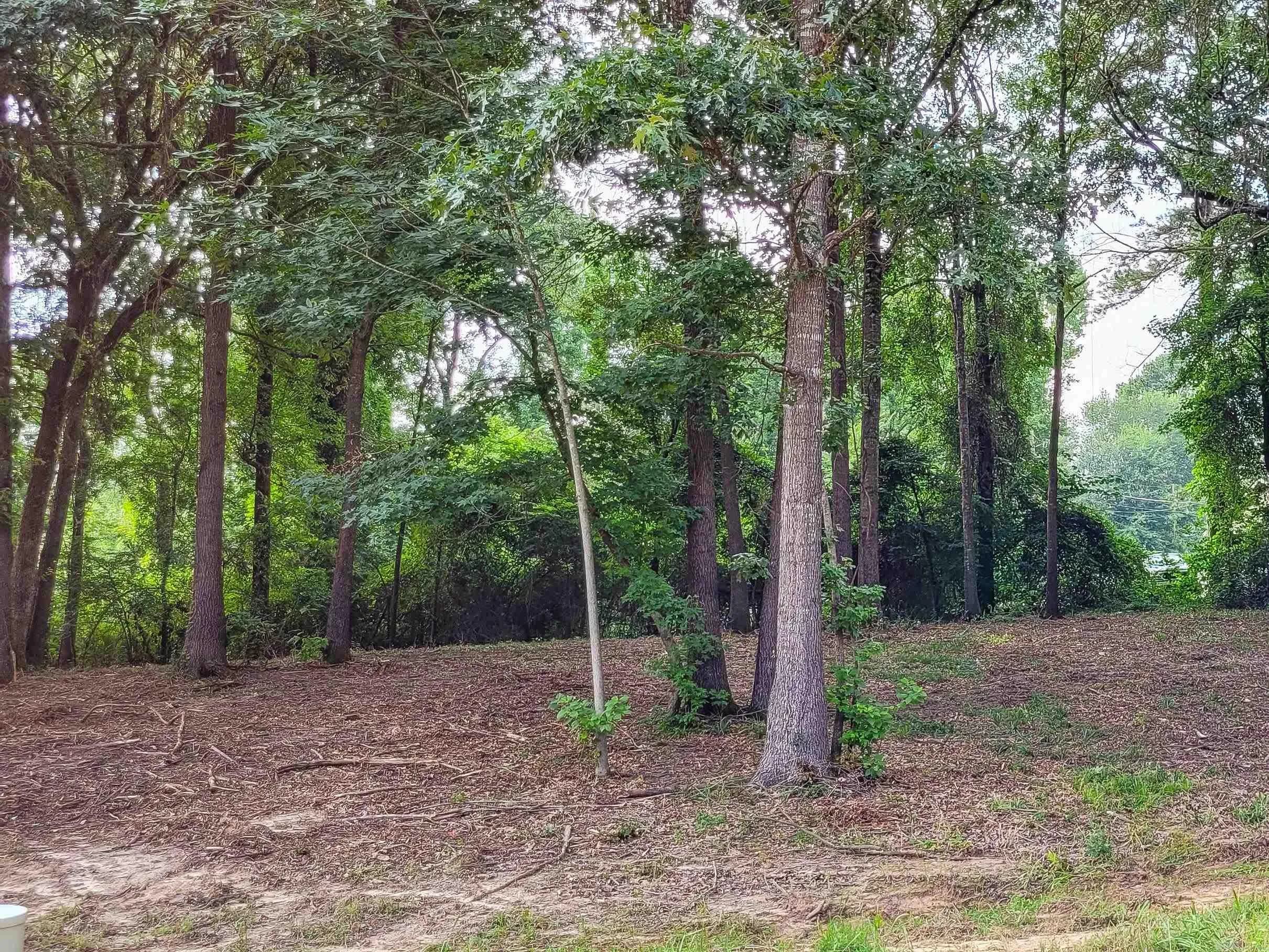 Property at 108  Jt - Image 12