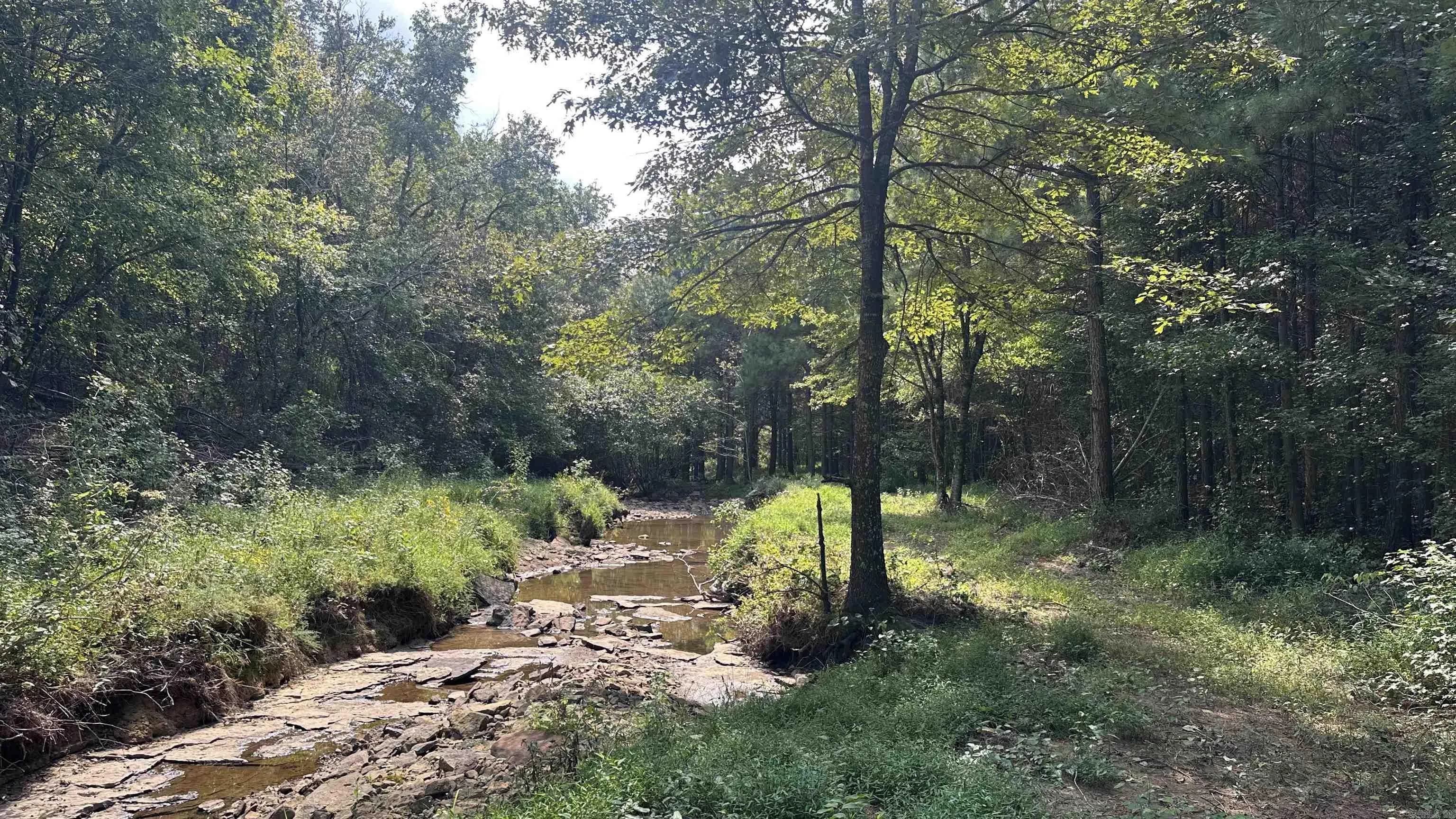 Property at 000  Goff rd. via easement - Image 19