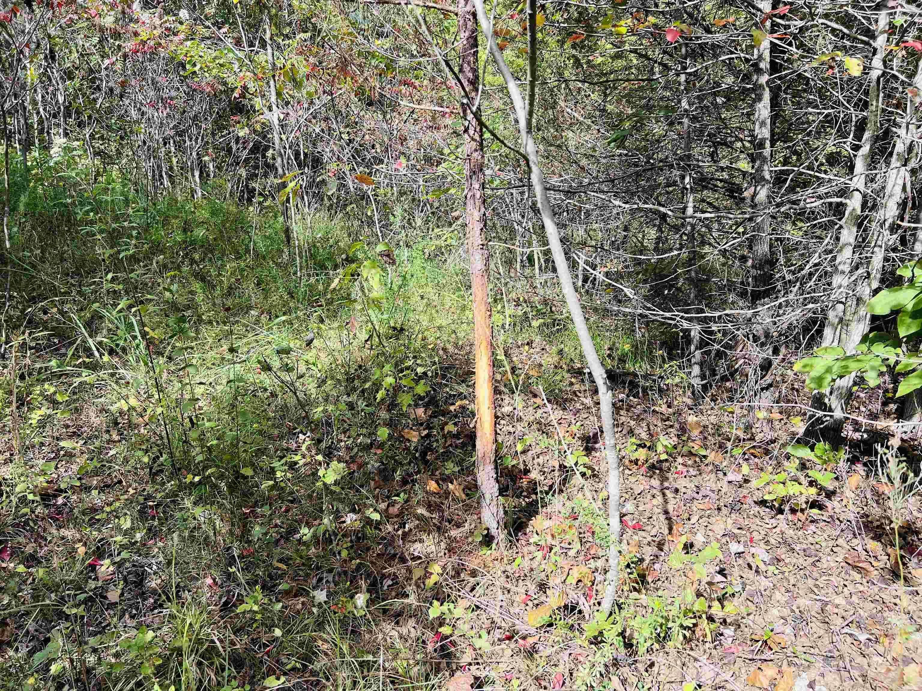 Property at 17640  S. highway 27 - Image 6