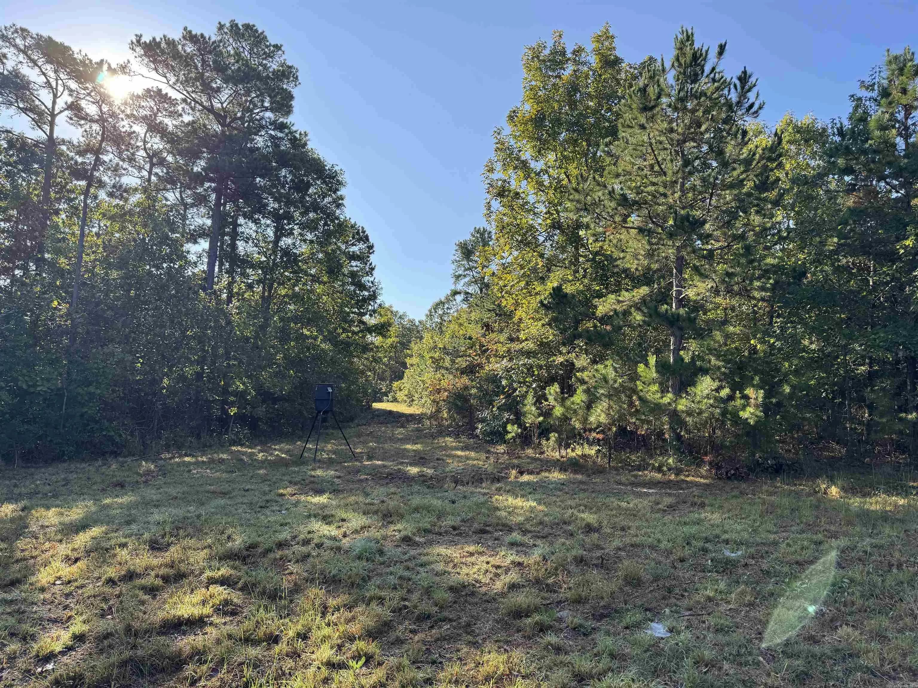 Property at 000  Hwy 9 - Image 5