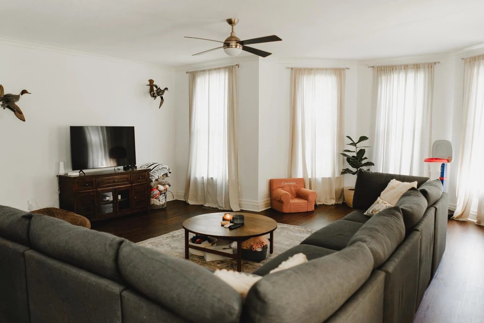 Property at 524 S Gabbert - Image 22