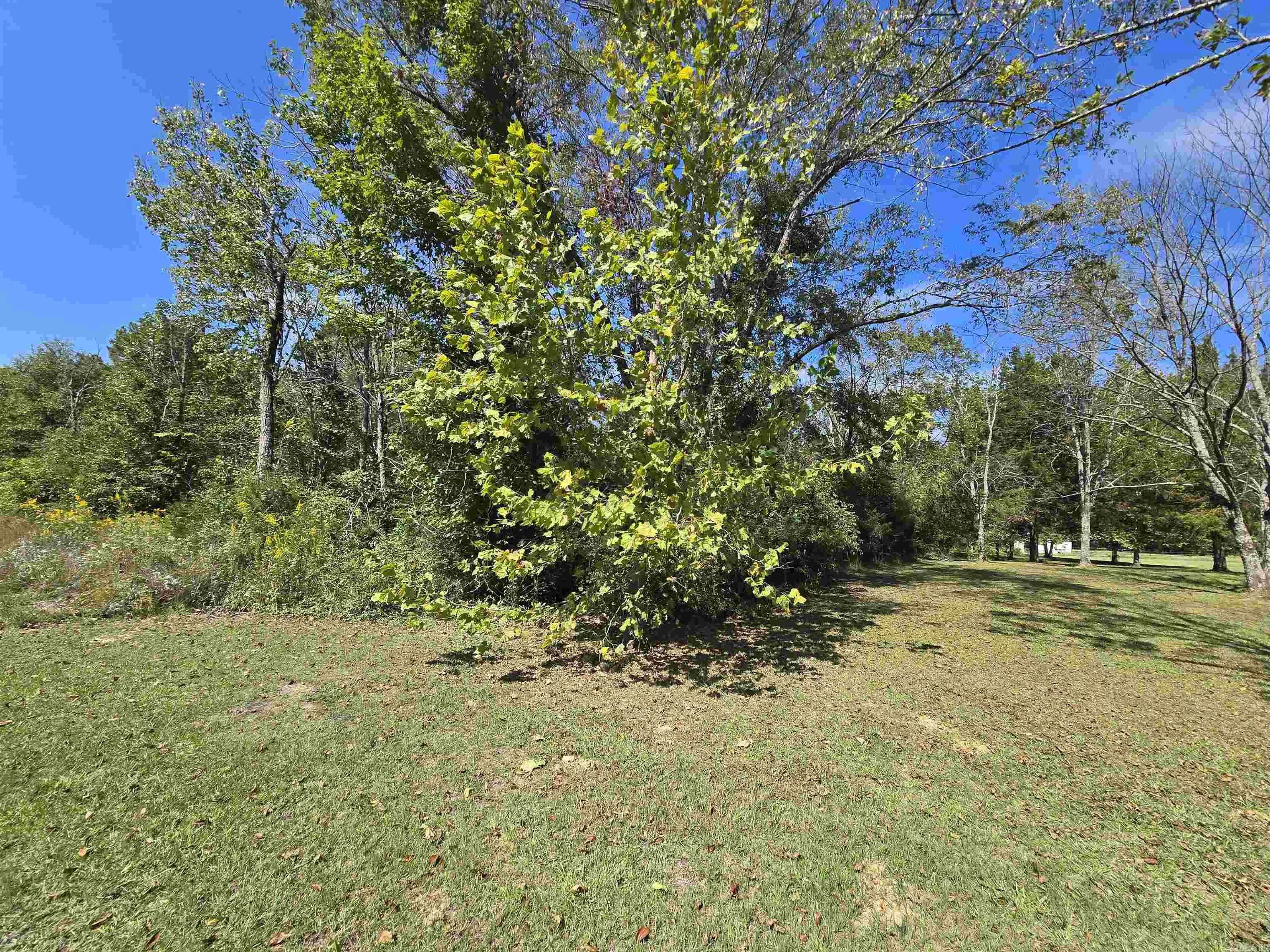 Property at 000  Saltillo - Image 3