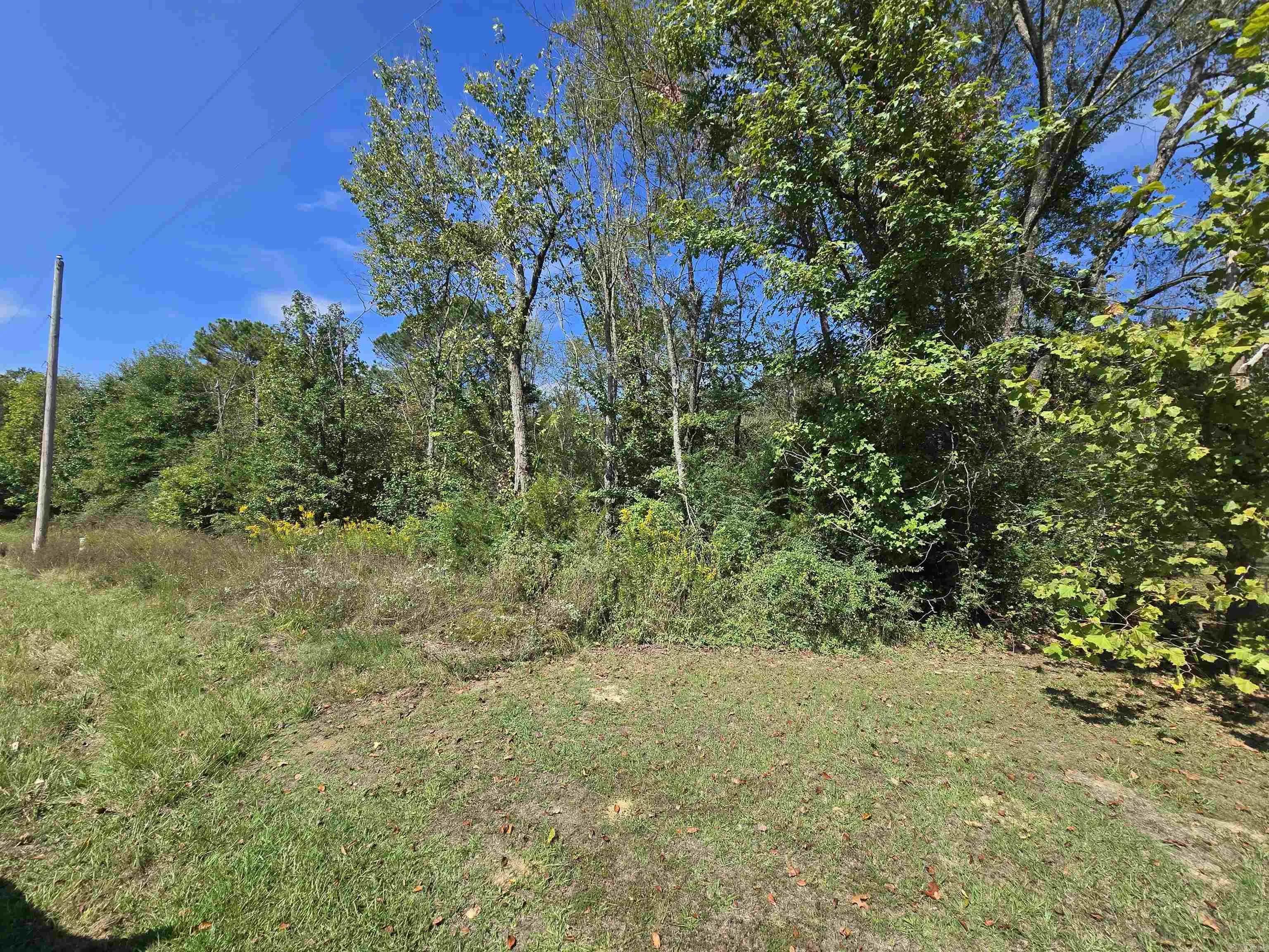 Property at 000  Saltillo - Image 4