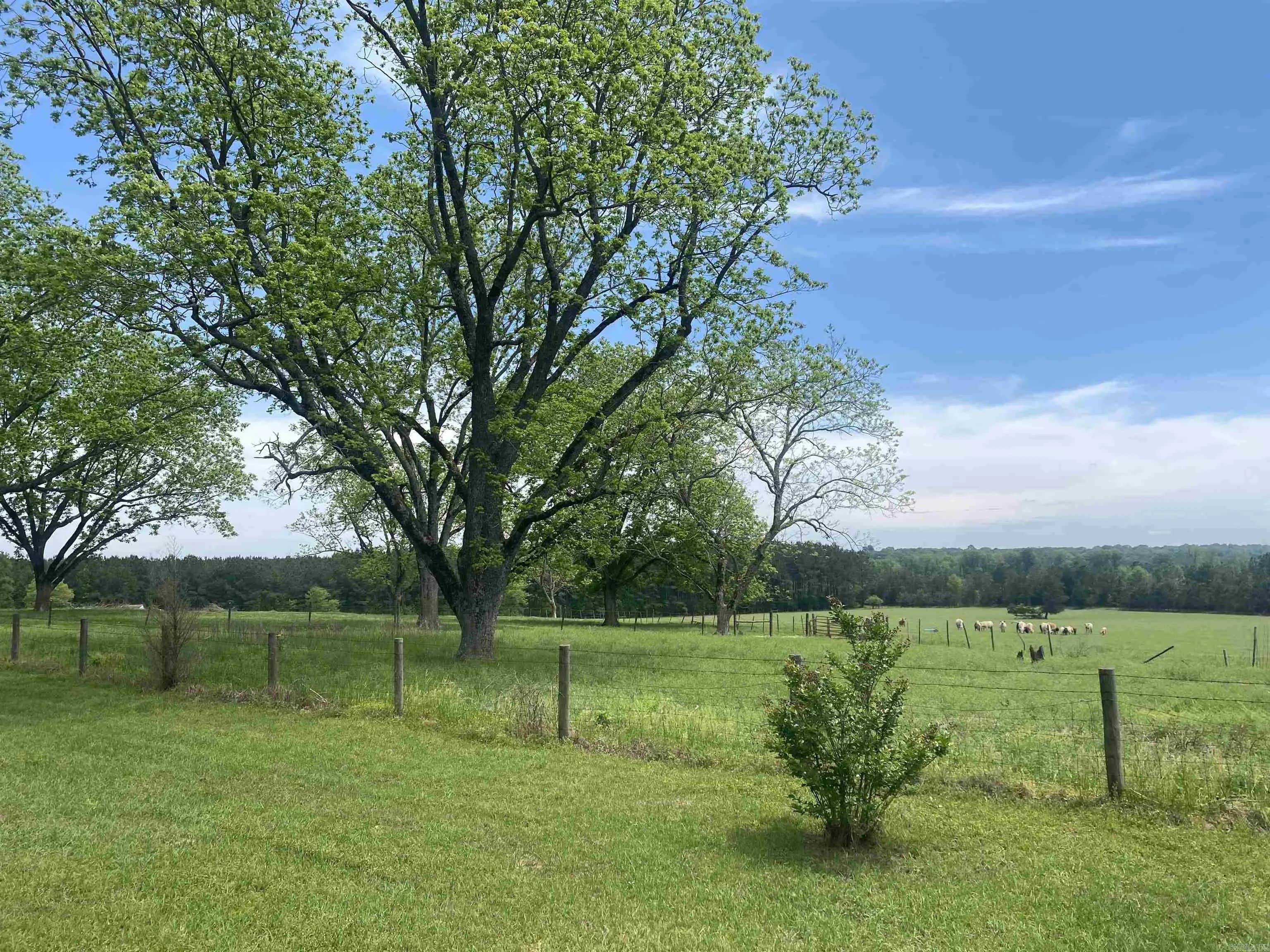 Property at 239  Hempstead 347 - Image 9