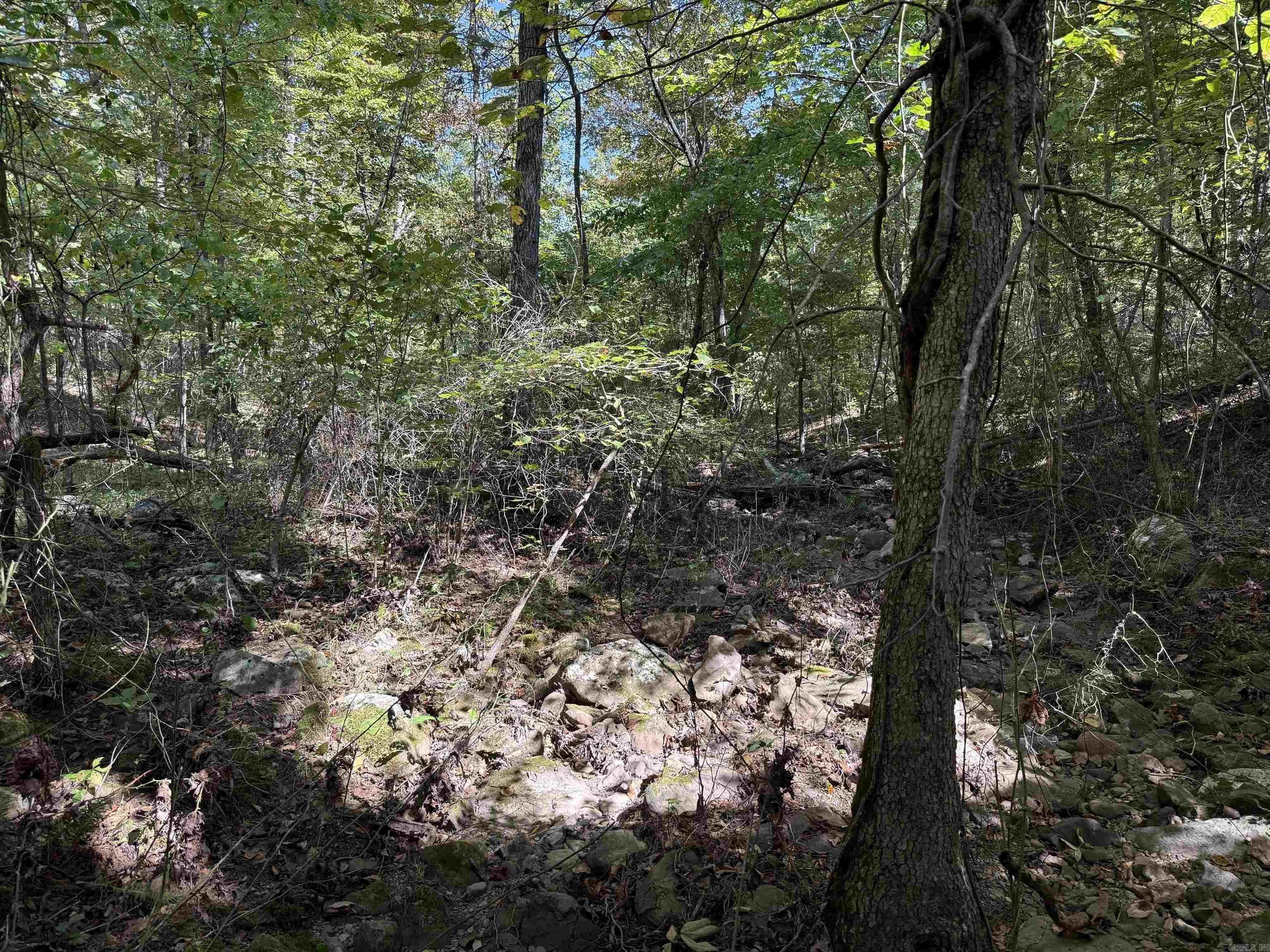 Property at 00  Butler - Image 34