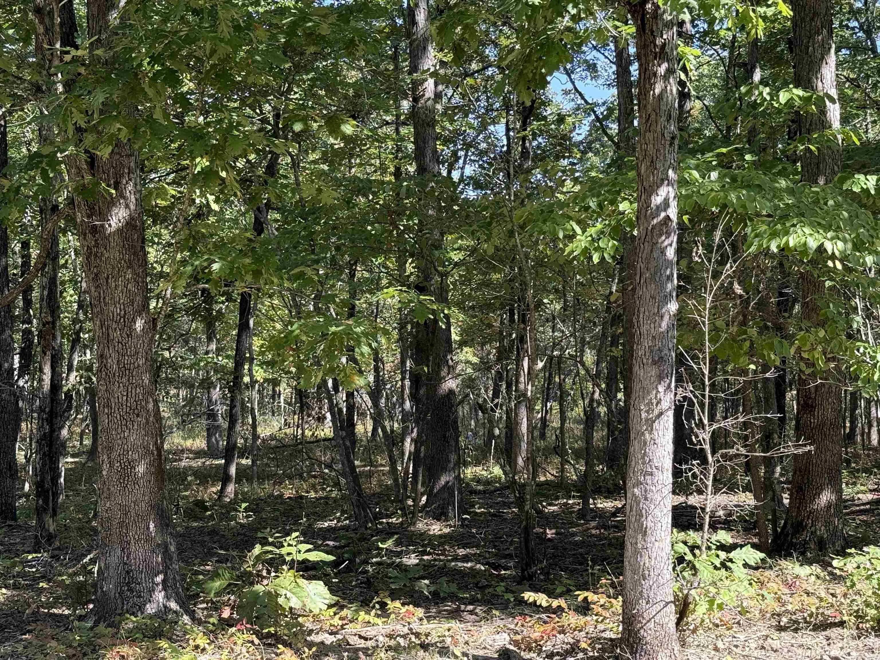 Property at 00  Butler - Image 33