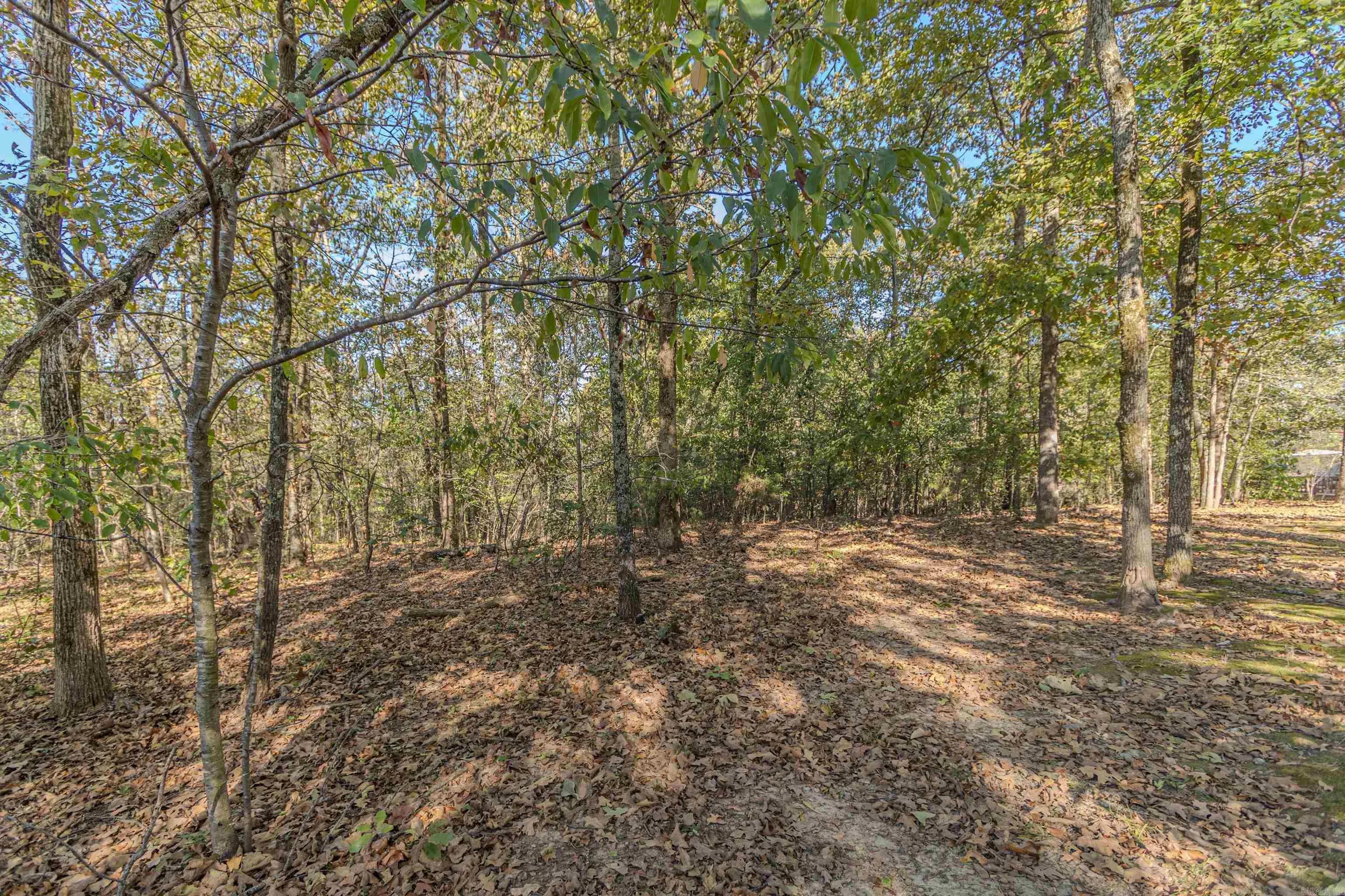 Property at 4705  Mount carmel road - Image 21
