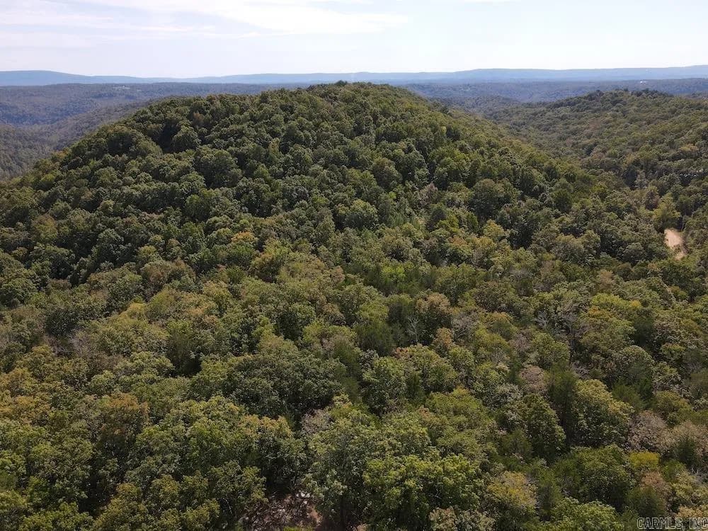 Property at Hwy 9 - Image 17