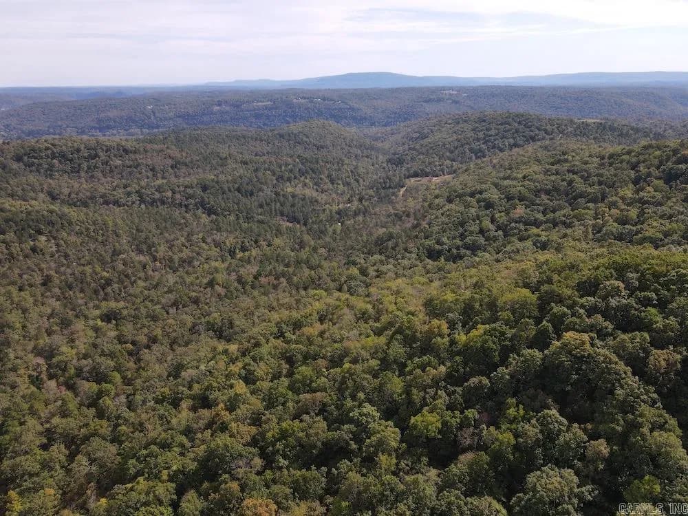Property at Hwy 9 - Image 22