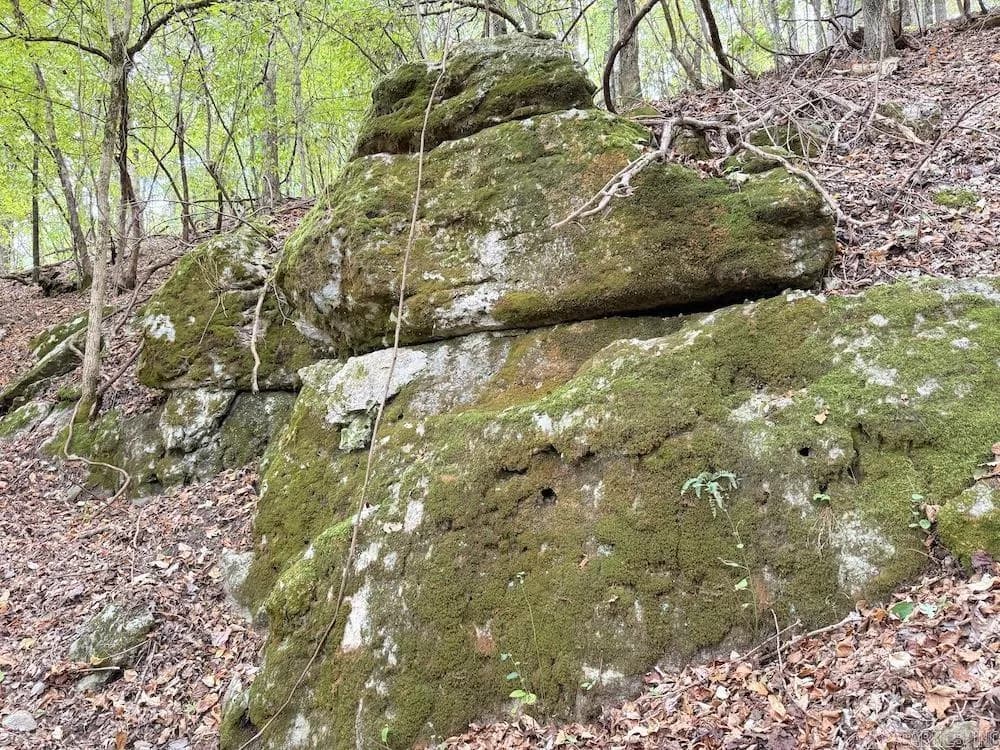 Property at Hwy 9 - Image 50