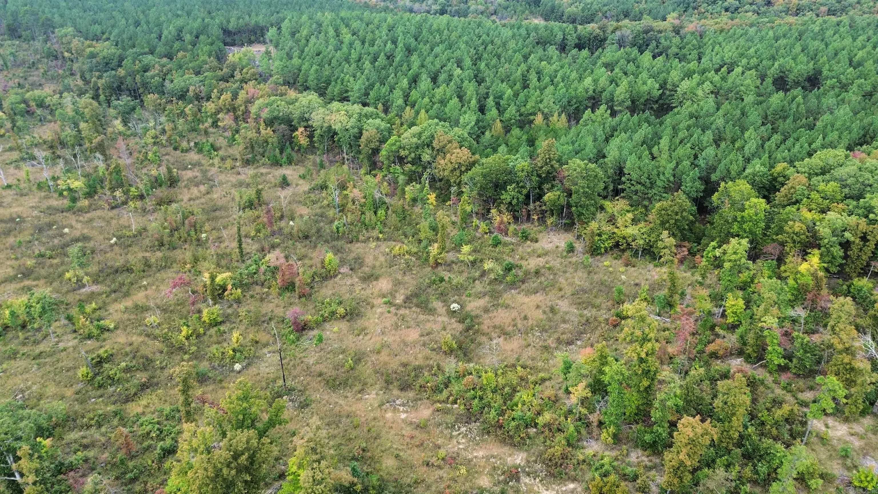 Property at 0001  Dodd mountain - Image 34
