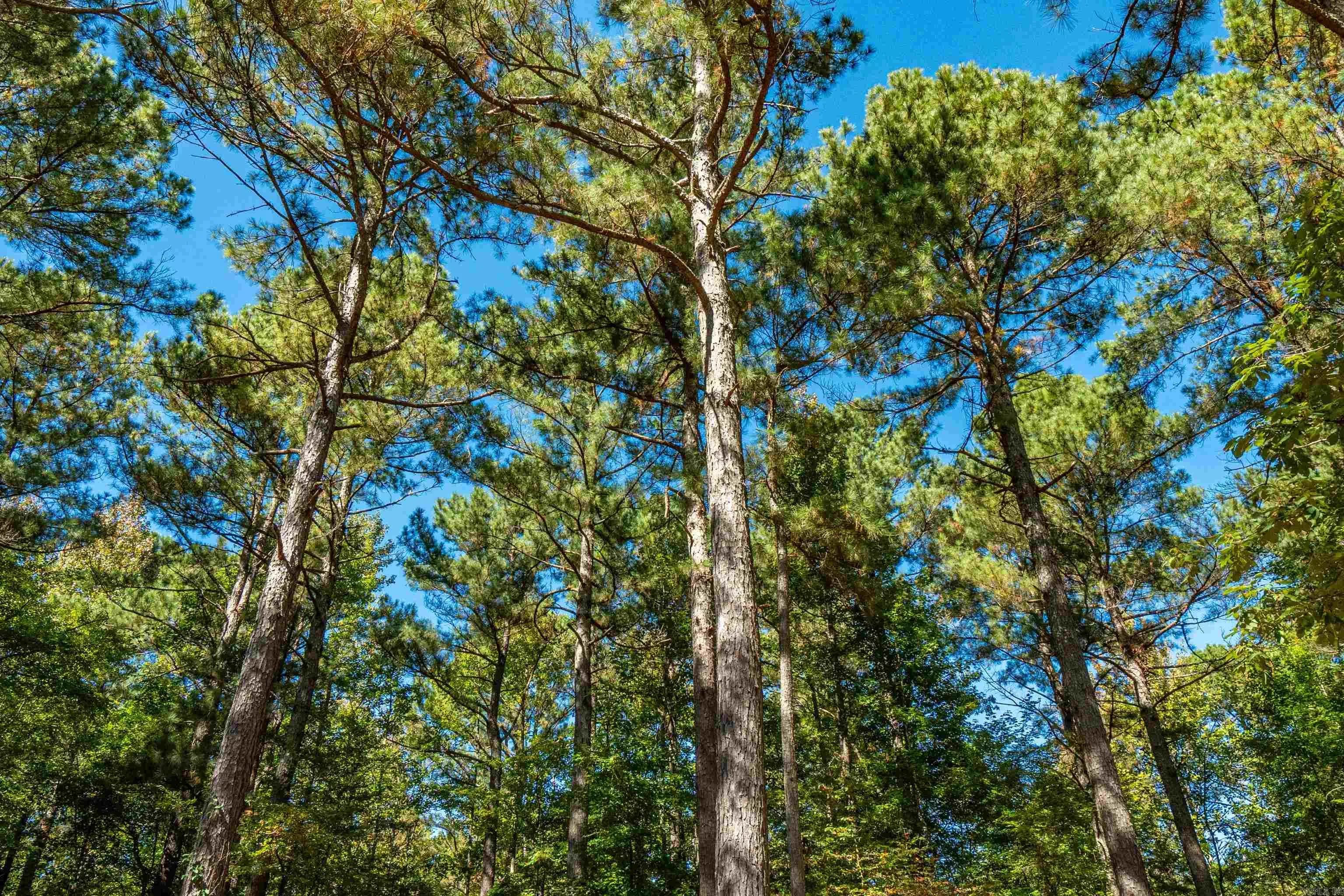 Property at 002  Stihl  22. - Image 6