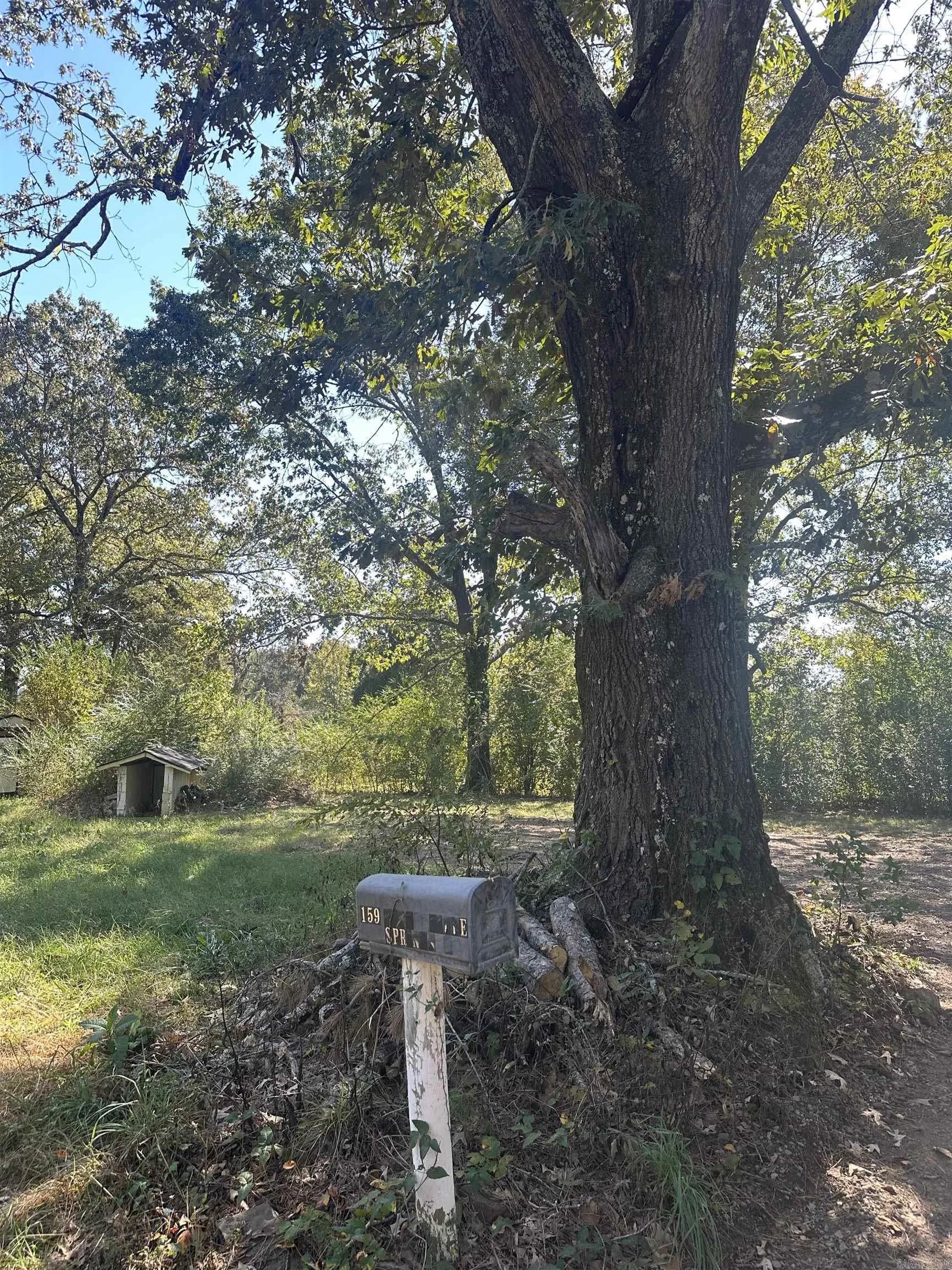 Property at 159  Brownsville springs rd - Image 2